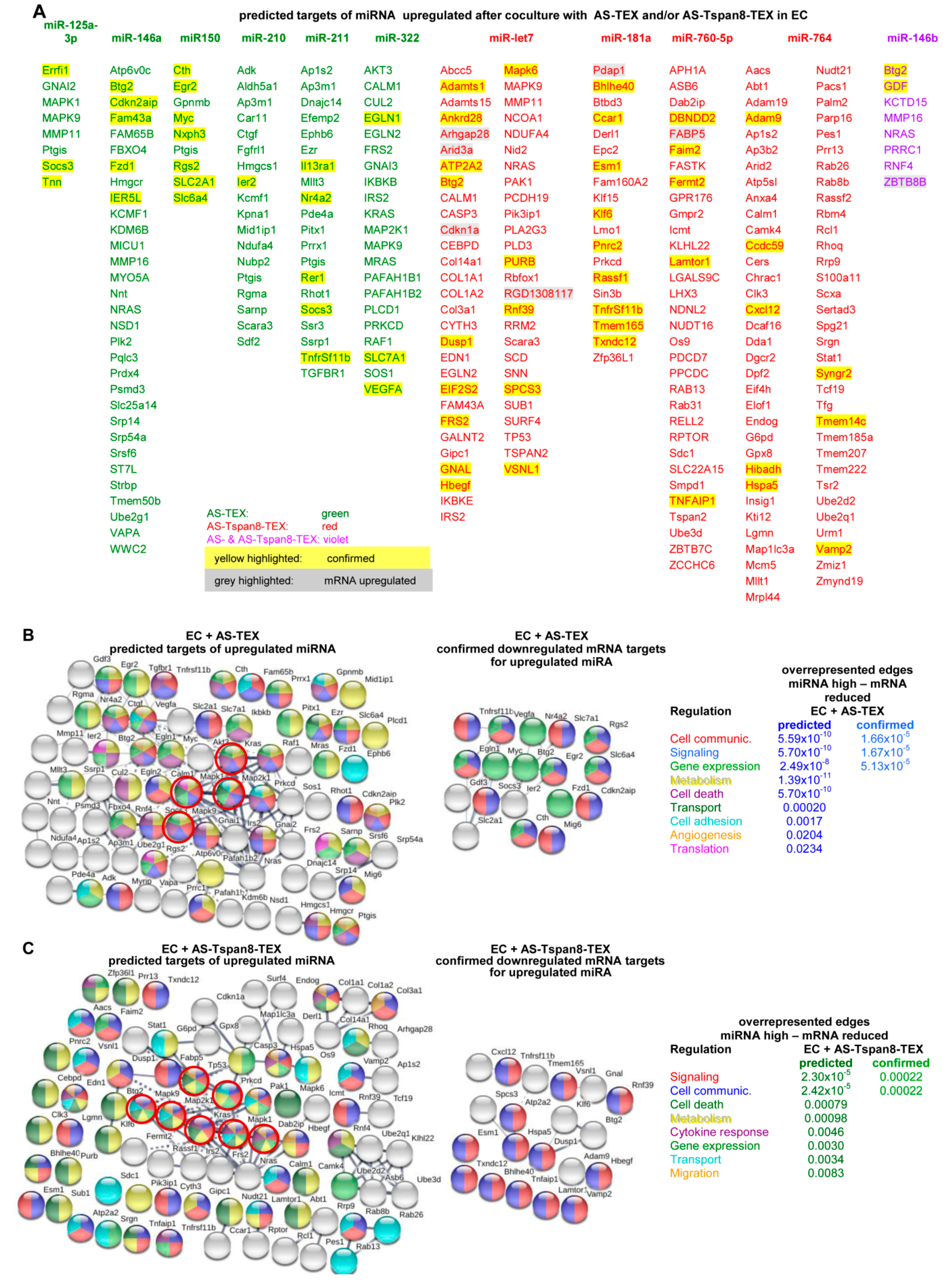 Cells 09 00319 g006a