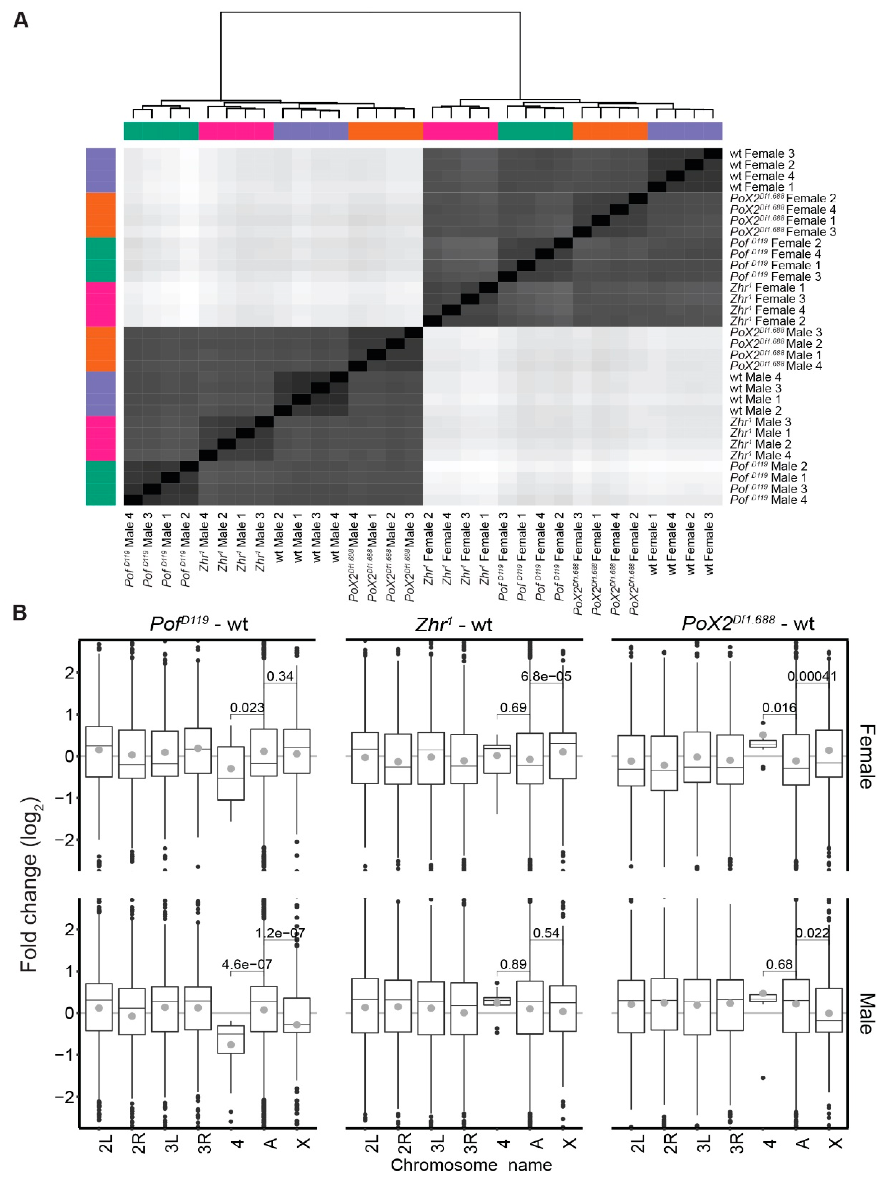 Cells 09 00323 g001 Cells 09 00323 g001