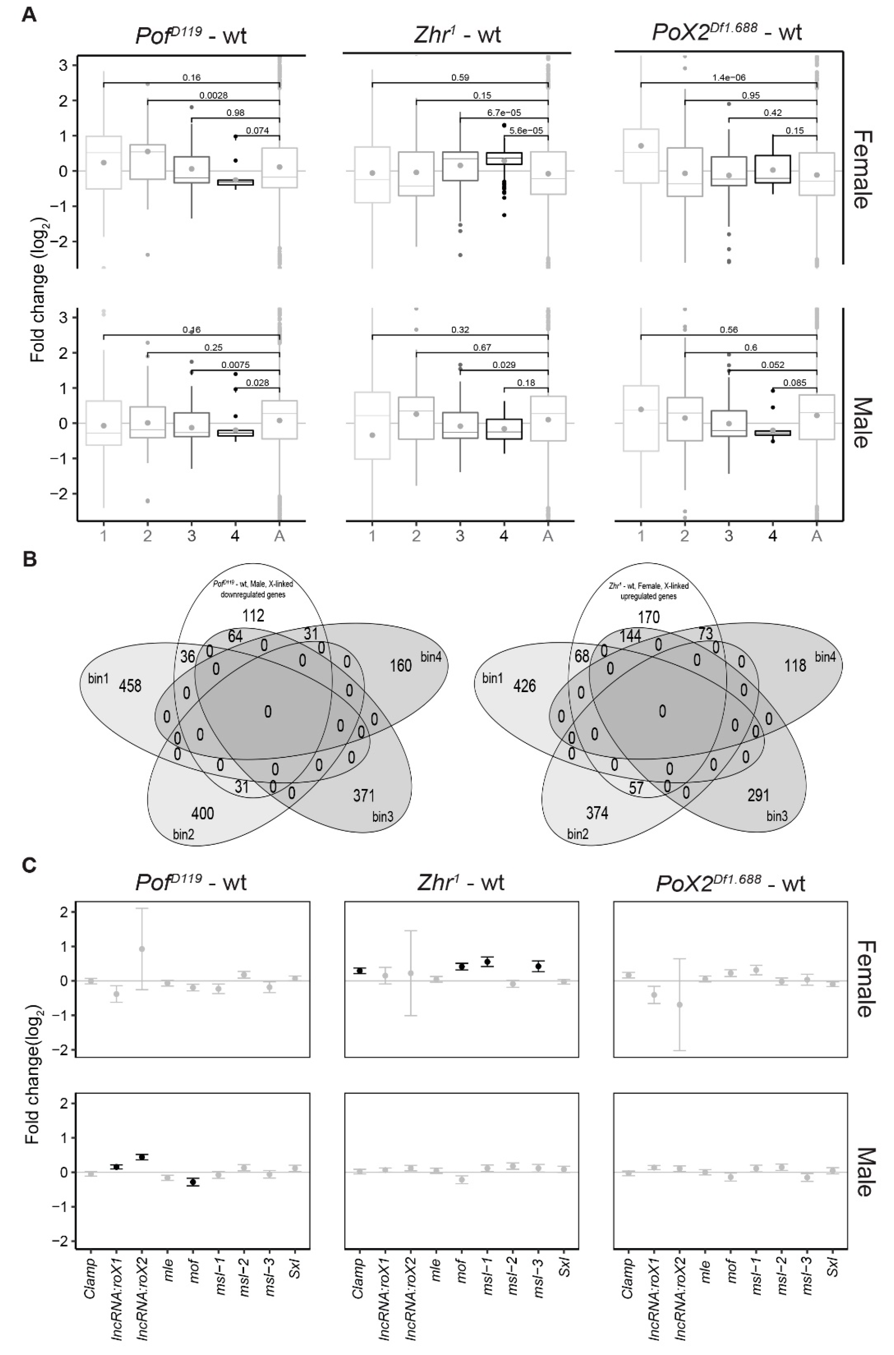 Cells 09 00323 g004 Cells 09 00323 g004