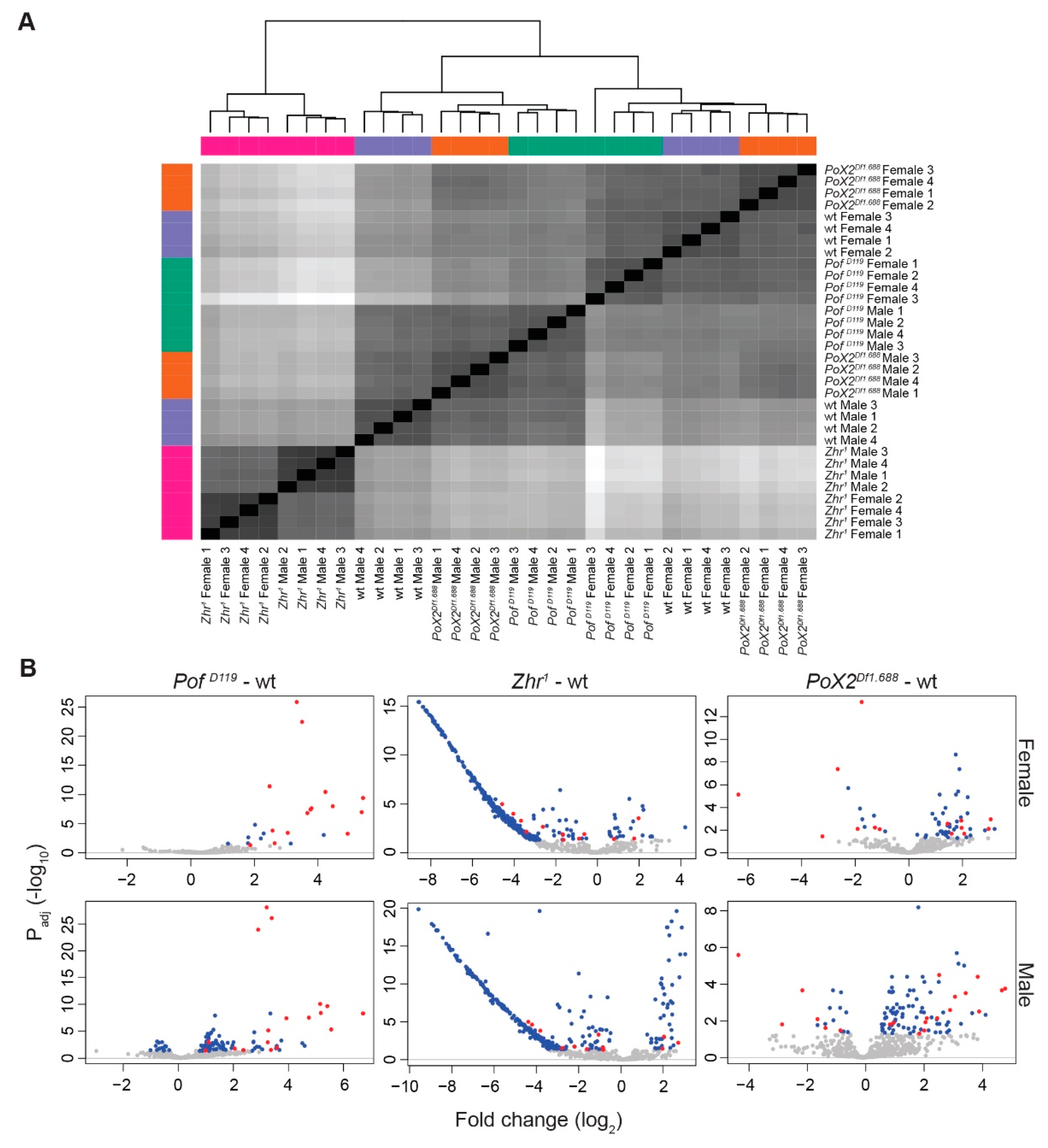 Cells 09 00323 g005 Cells 09 00323 g005
