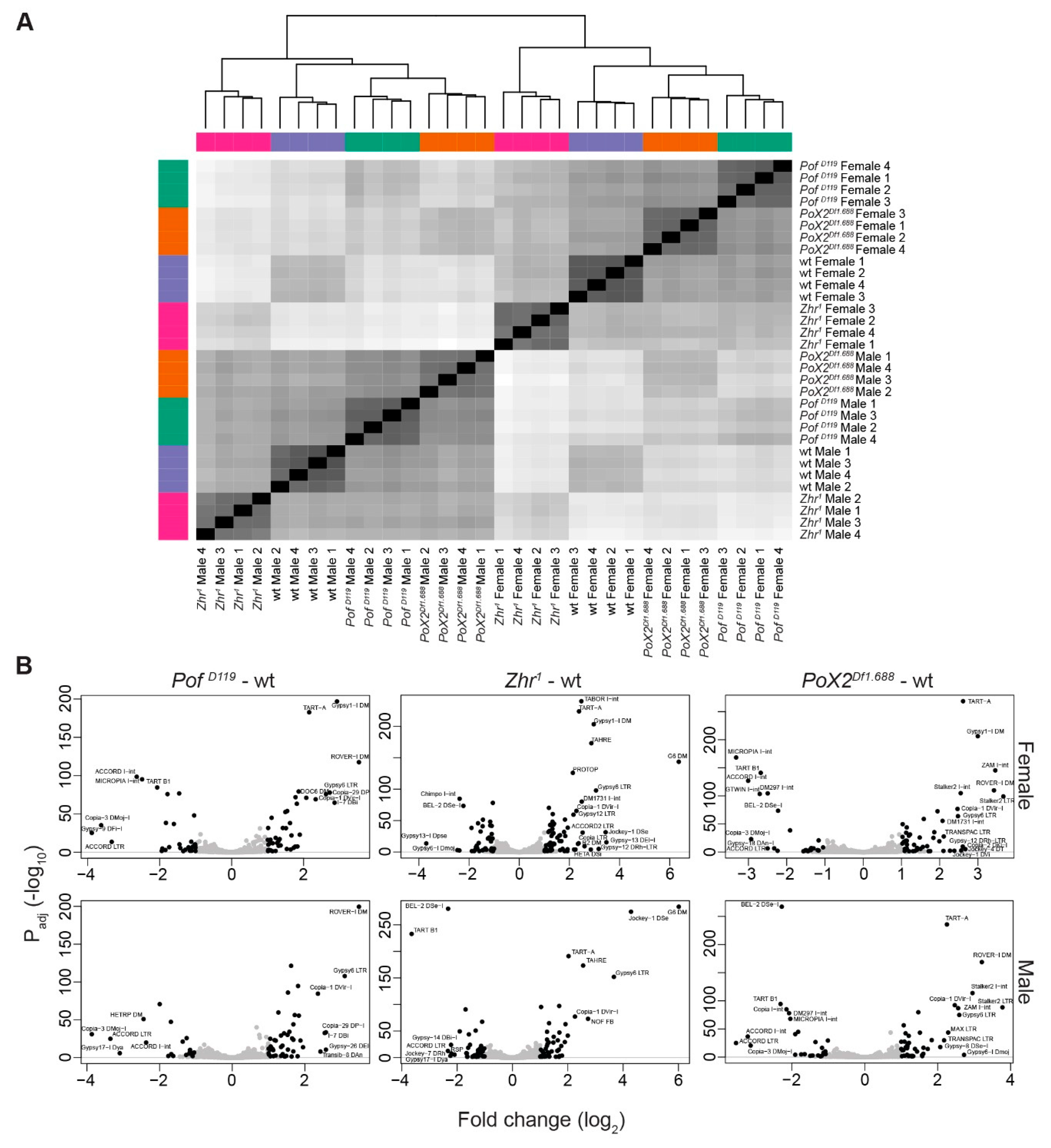 Cells 09 00323 g007 Cells 09 00323 g007