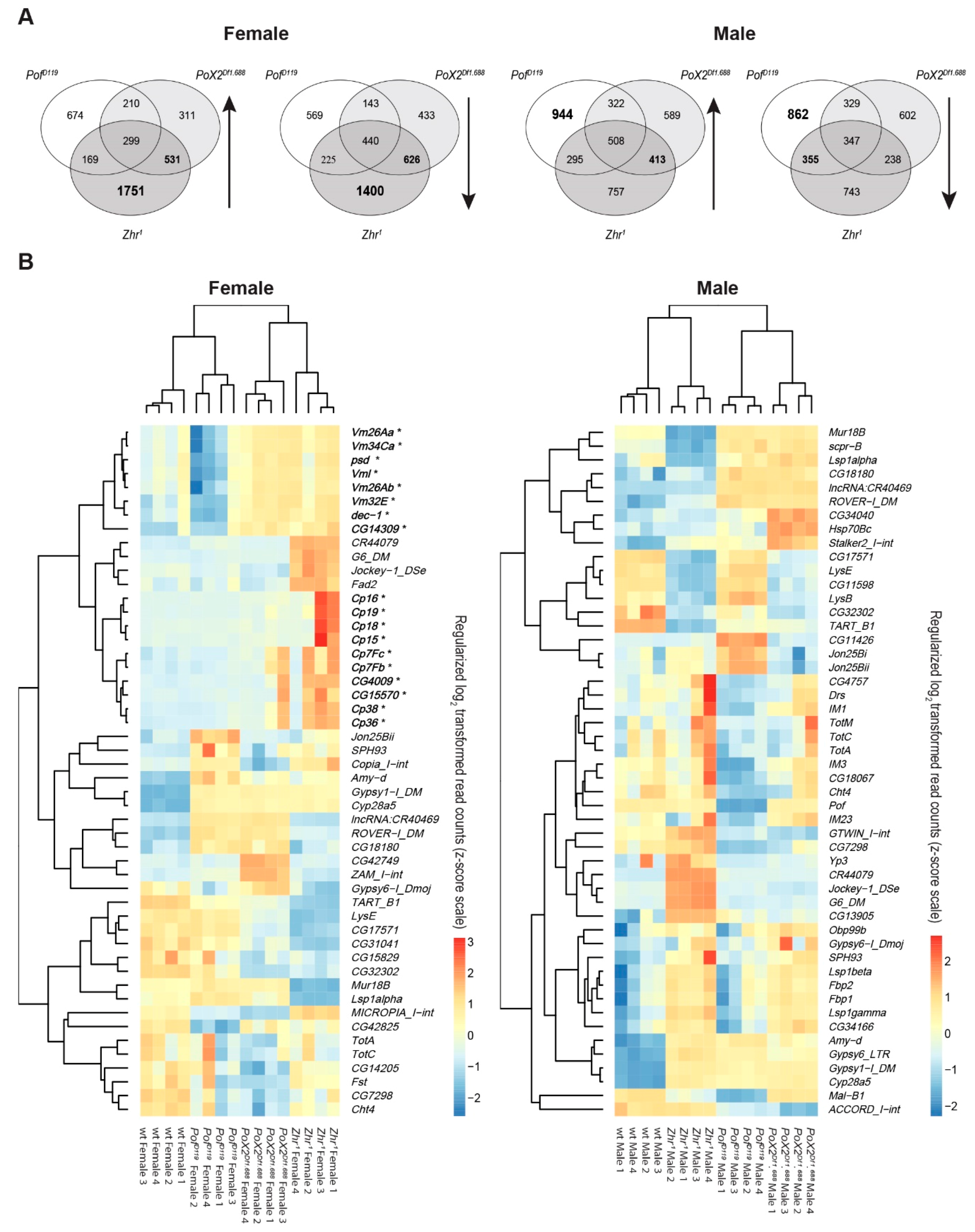Cells 09 00323 g008 Cells 09 00323 g008