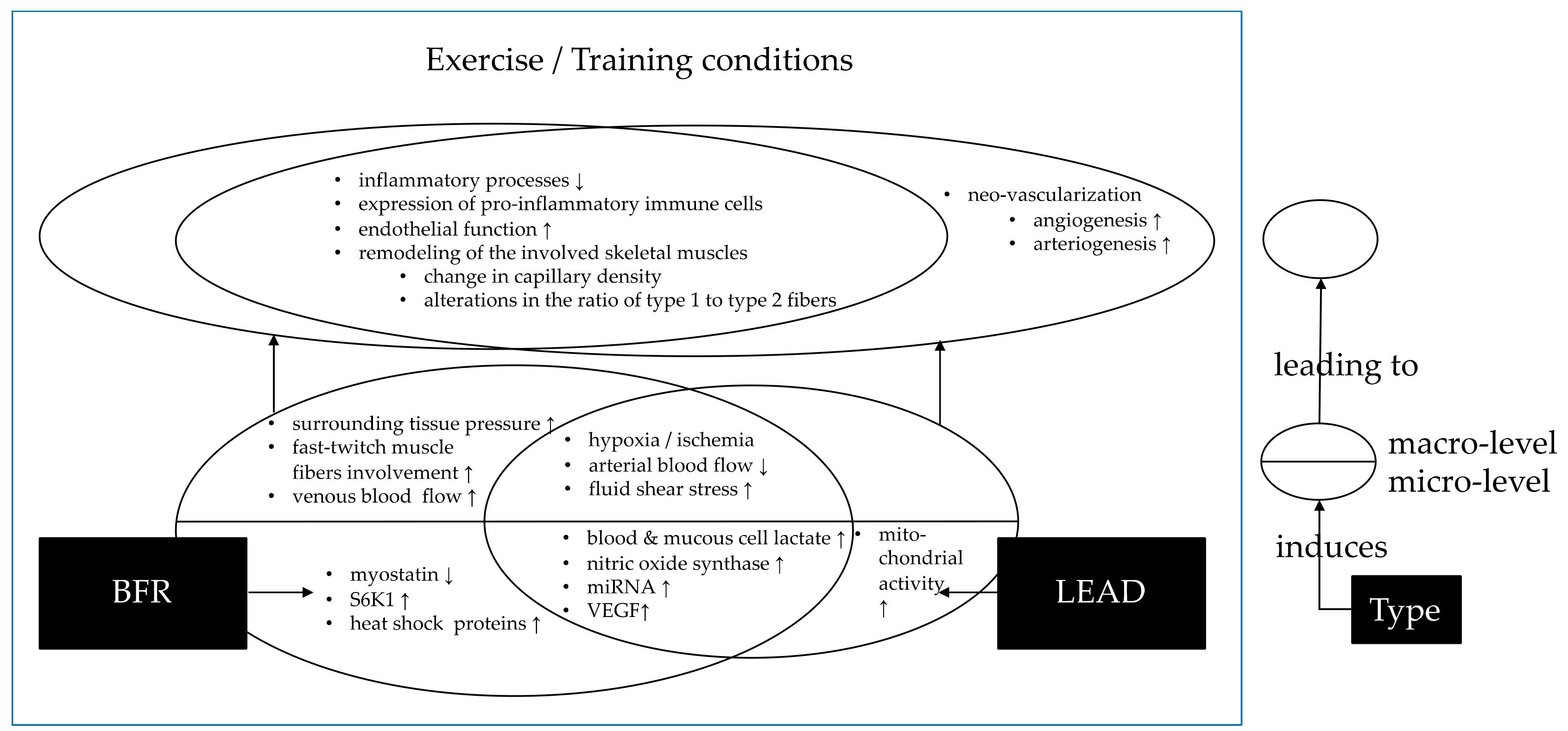 Cells 09 00333 g001 Cells 09 00333 g001