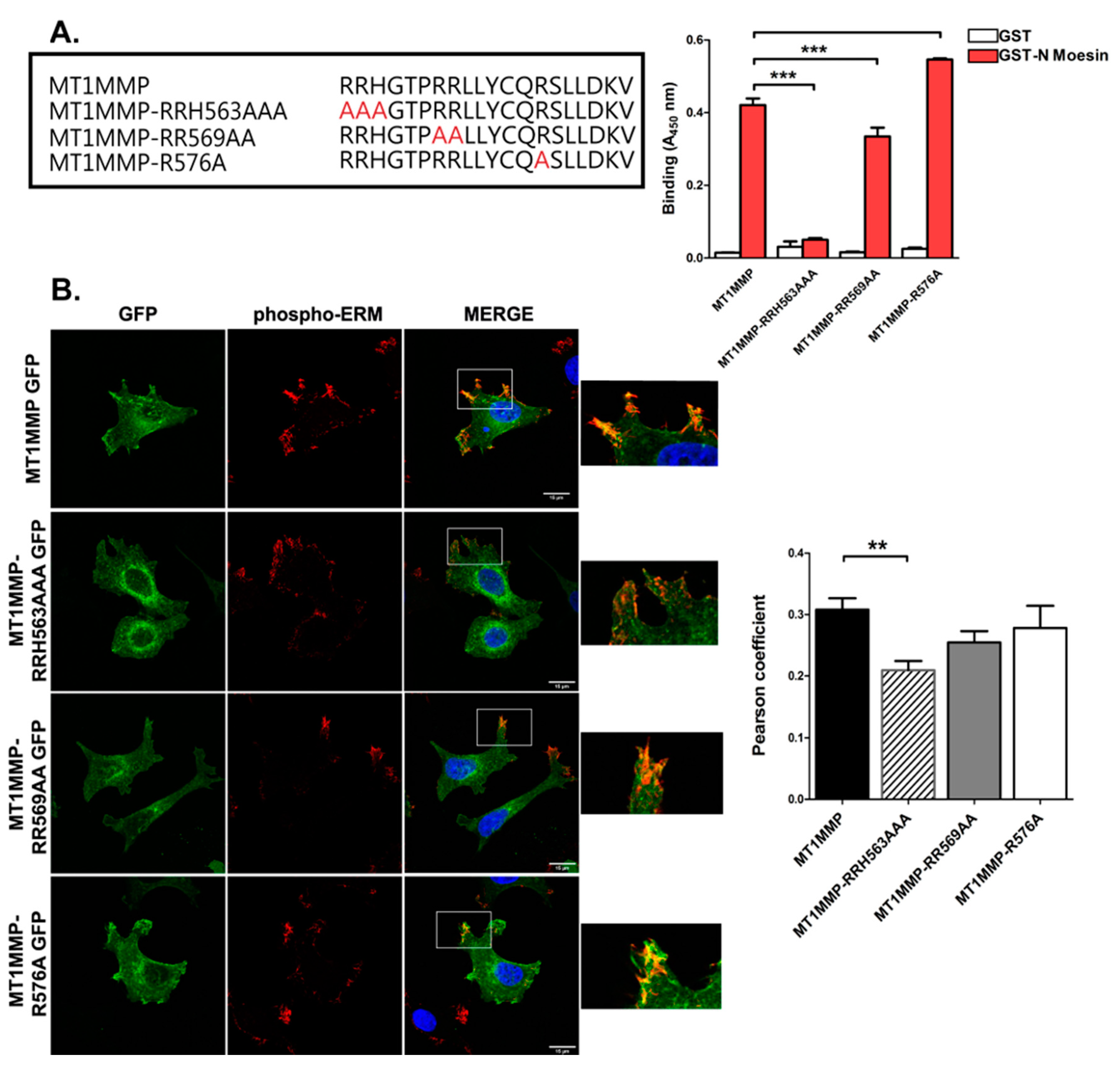 Cells 09 00348 g001 Cells 09 00348 g001