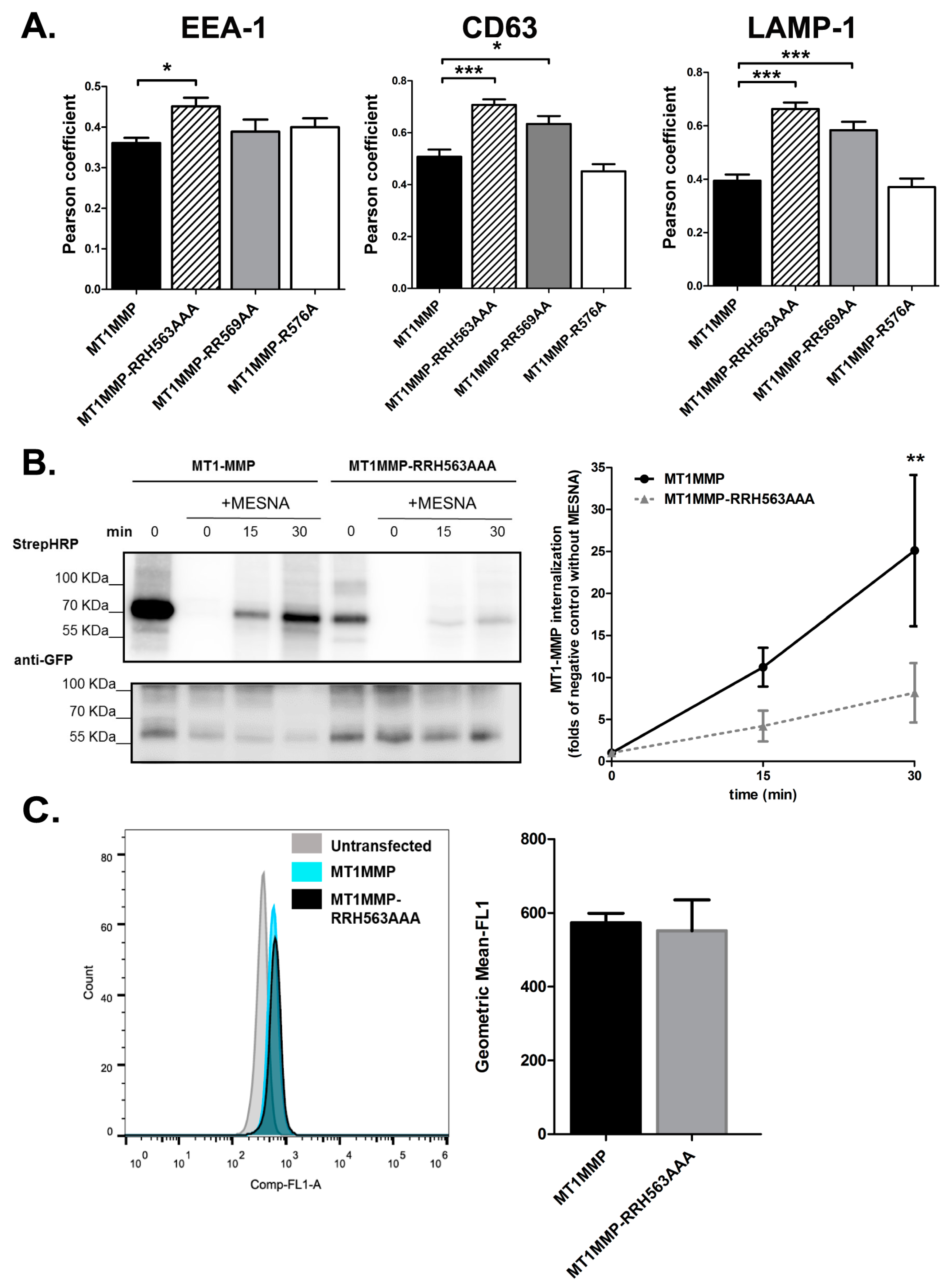 Cells 09 00348 g002 Cells 09 00348 g002