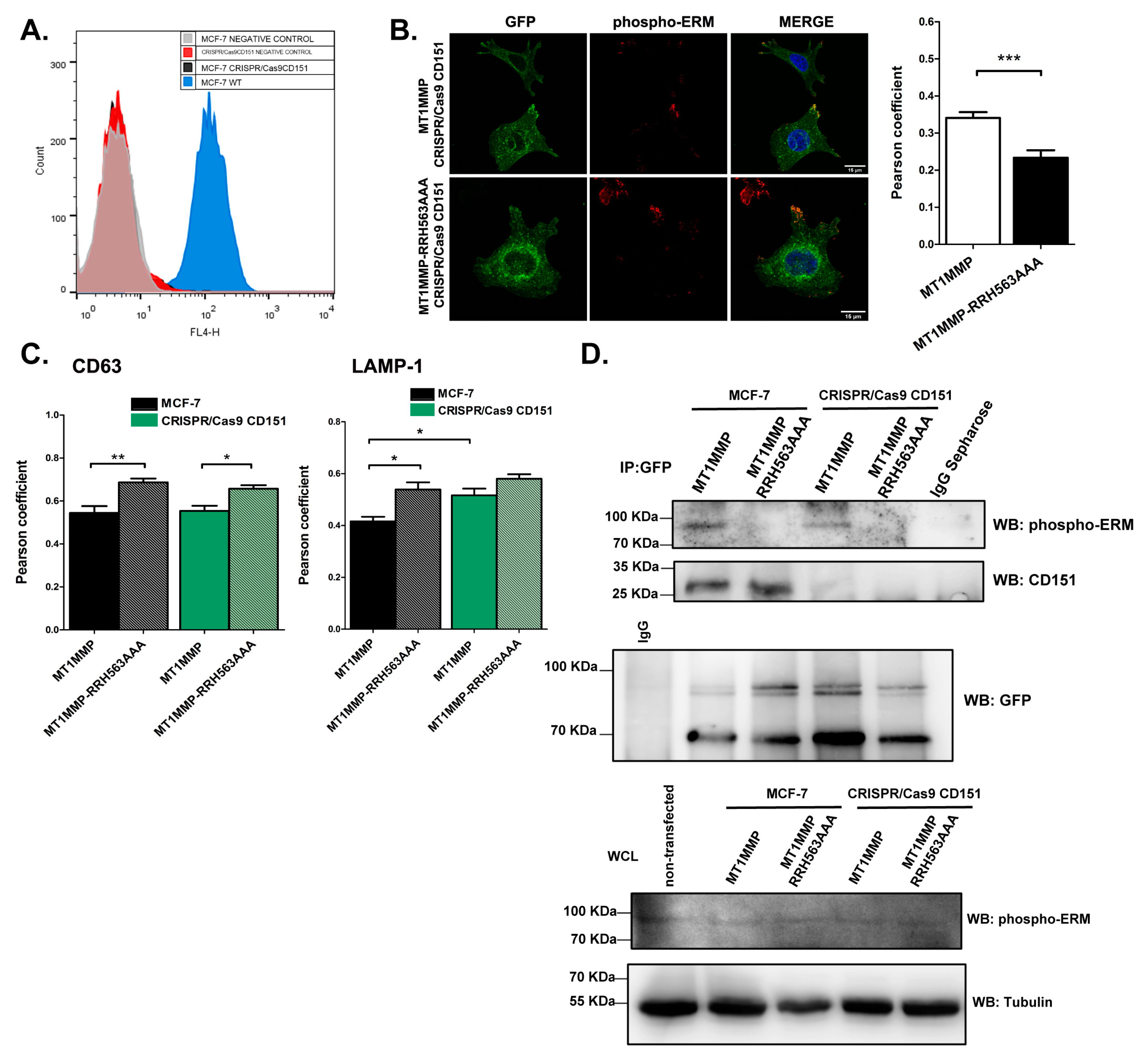 Cells 09 00348 g004 Cells 09 00348 g004