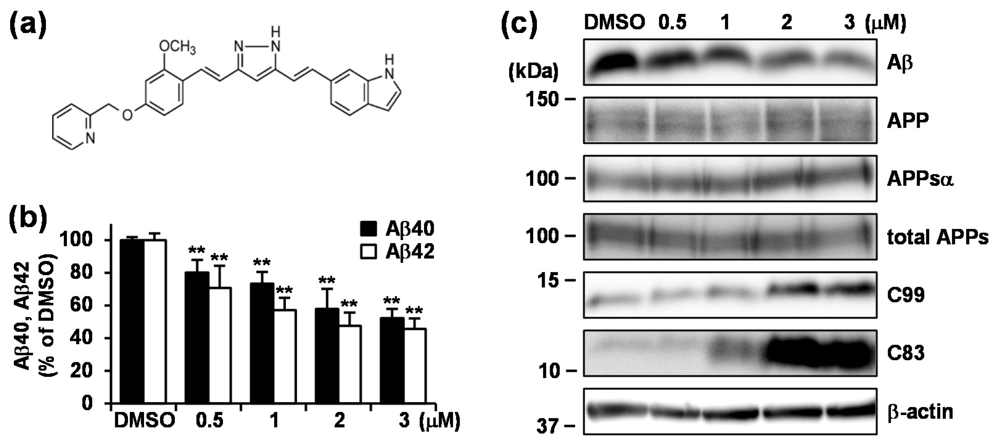 Cells 09 00349 g002 Cells 09 00349 g002