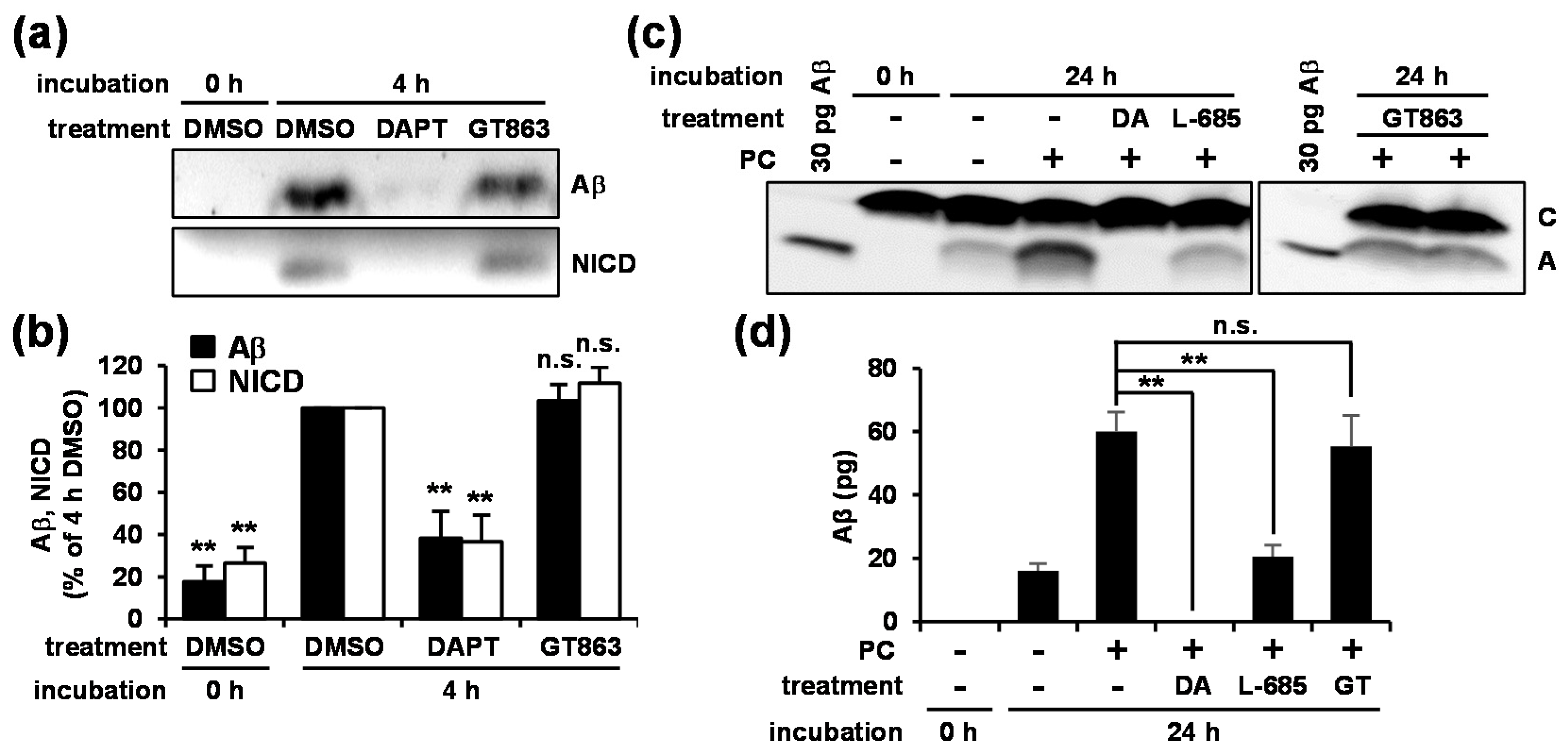 Cells 09 00349 g003 Cells 09 00349 g003