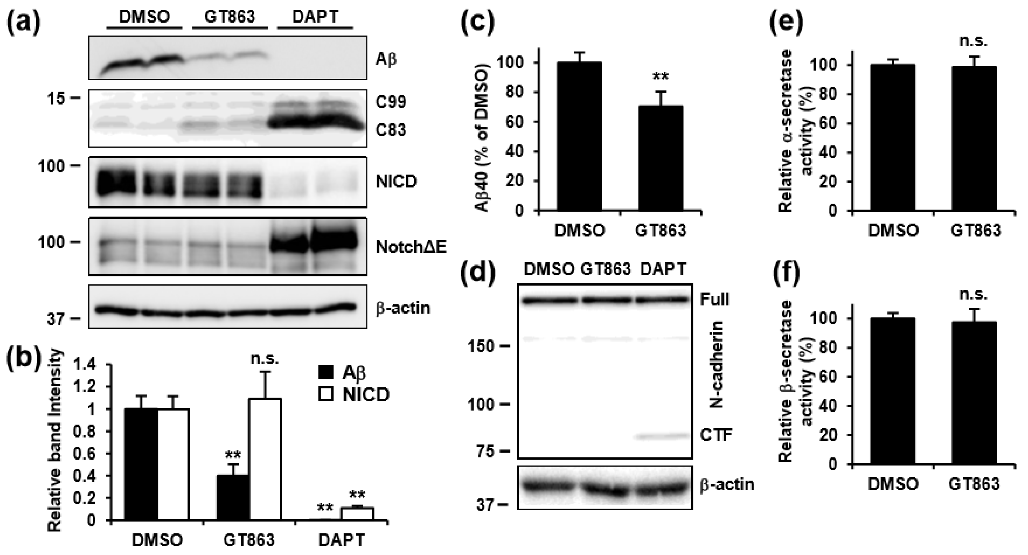 Cells 09 00349 g004 Cells 09 00349 g004