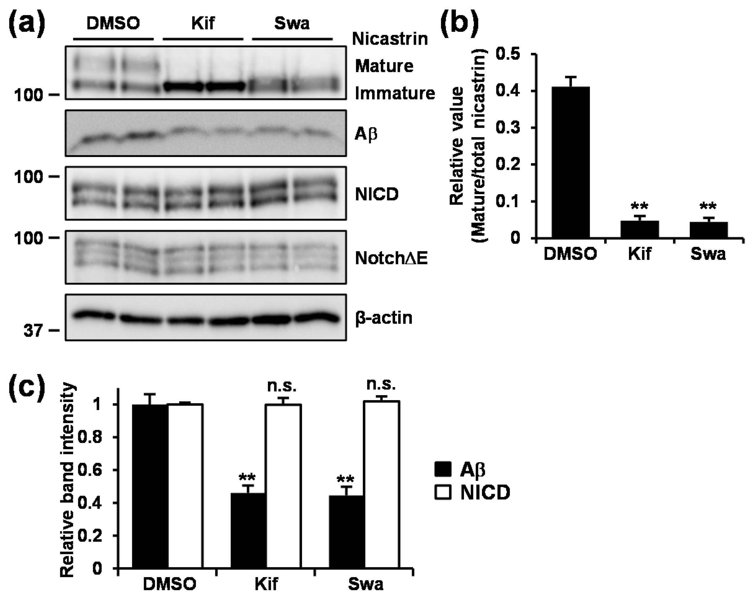 Cells 09 00349 g006 Cells 09 00349 g006
