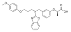 Cells 09 00352 i015