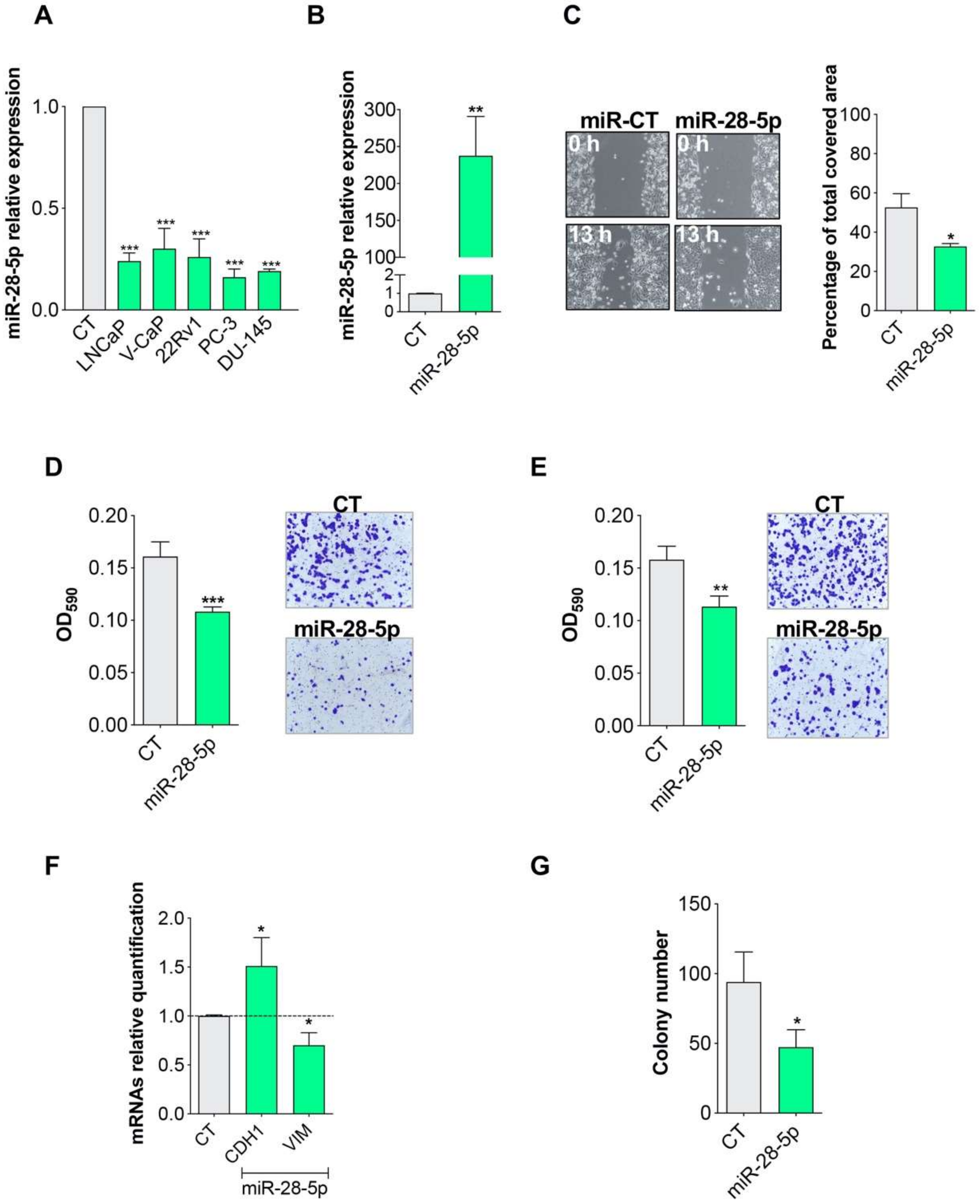 Cells 09 00354 g001