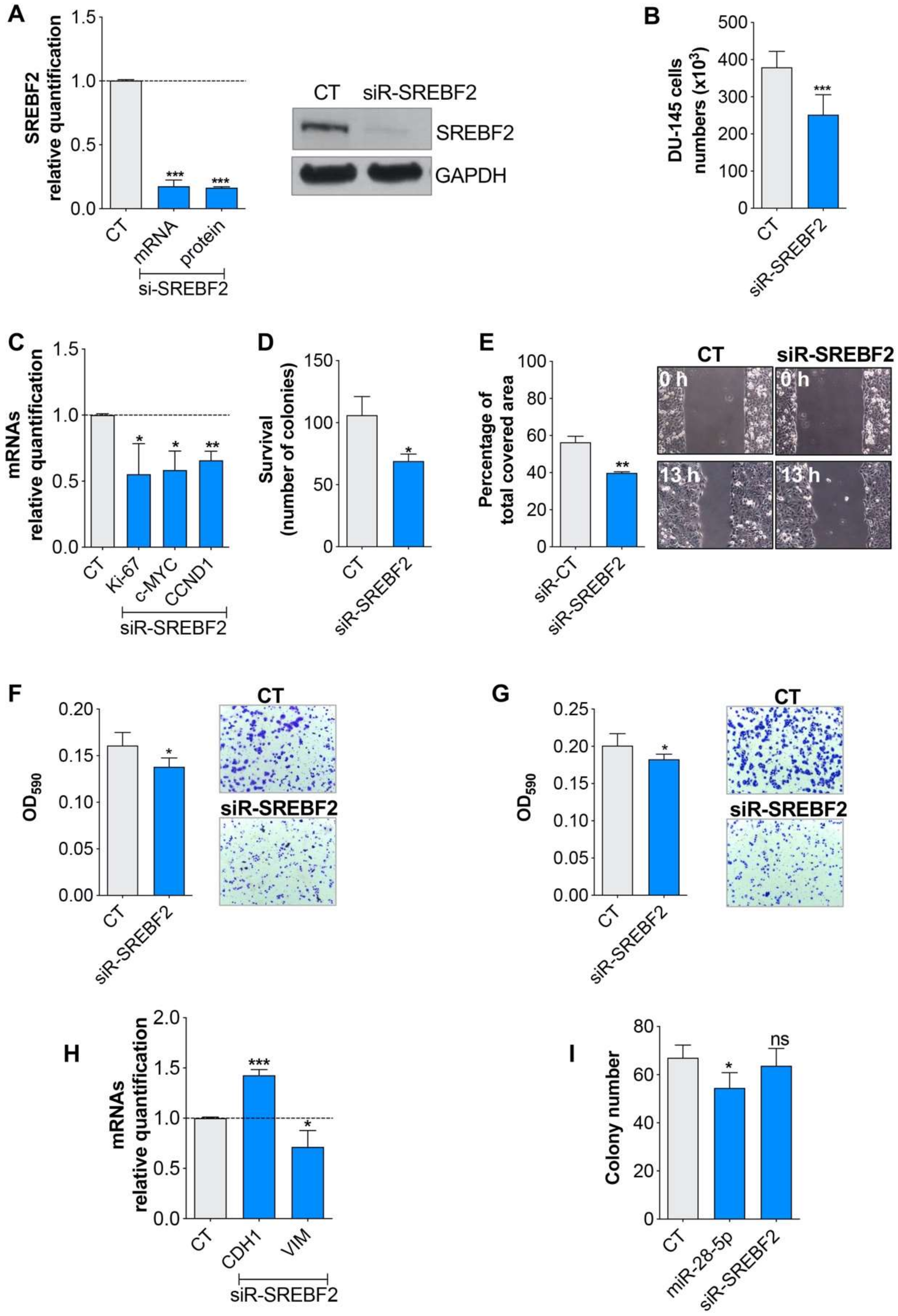Cells 09 00354 g004