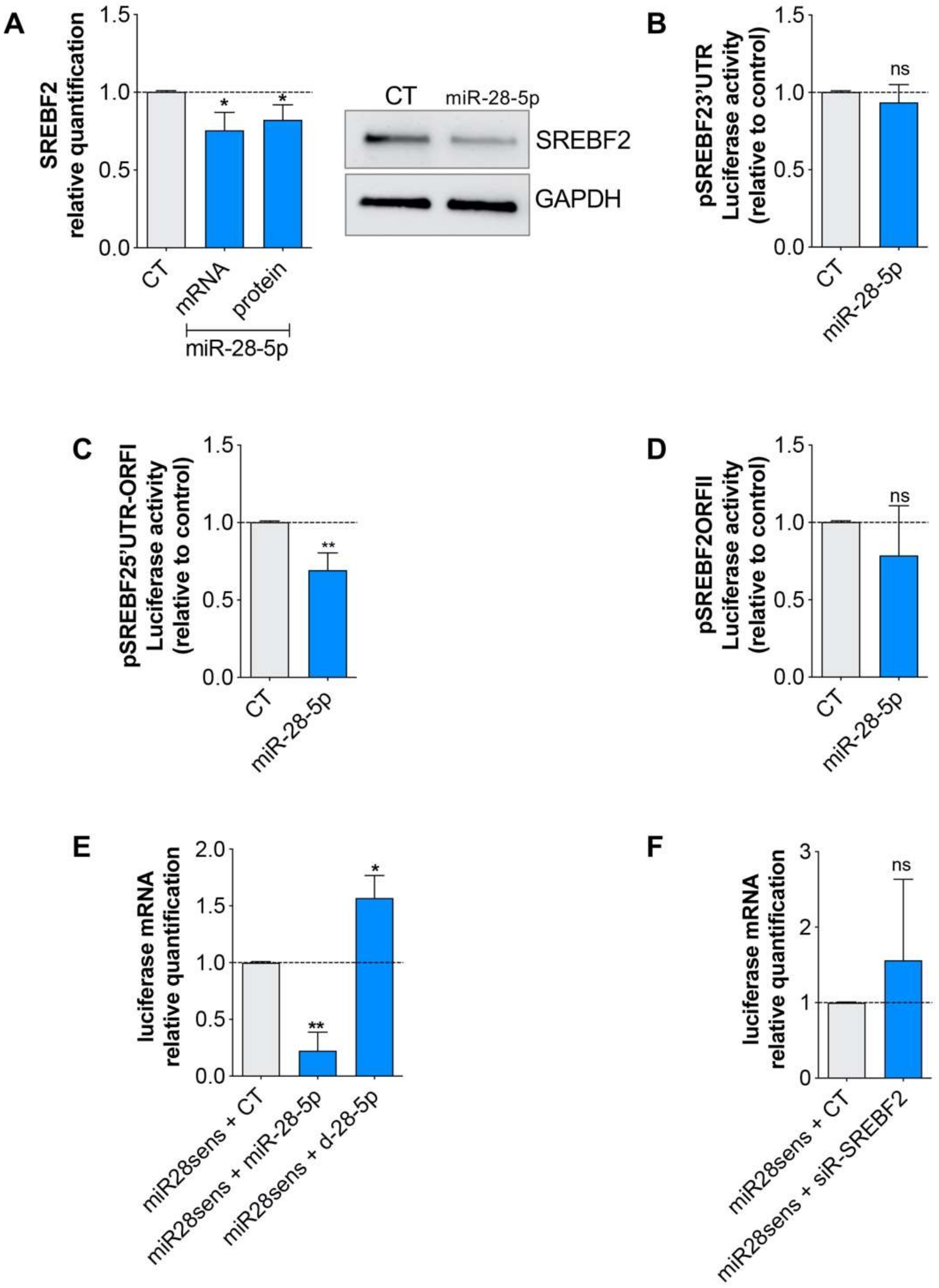 Cells 09 00354 g005
