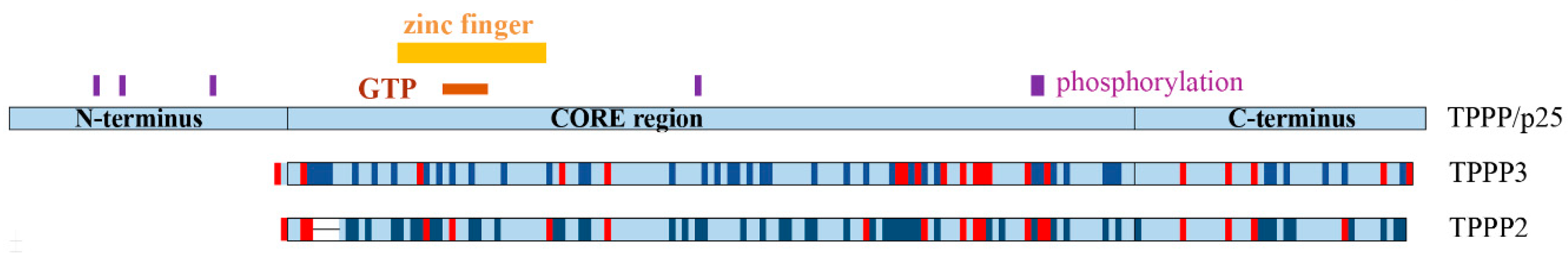Cells 09 00357 g002 Cells 09 00357 g002