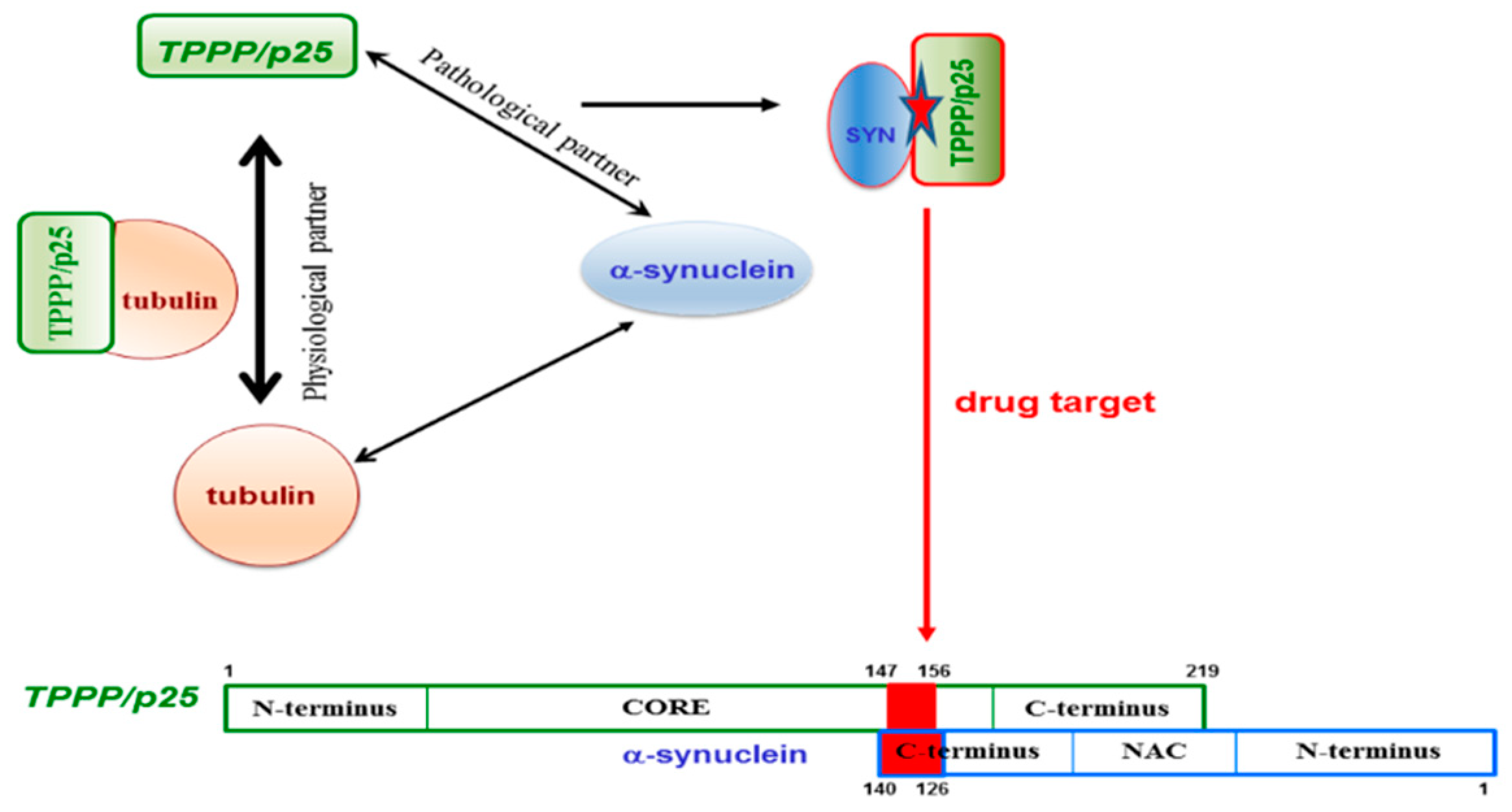 Cells 09 00357 g007 Cells 09 00357 g007