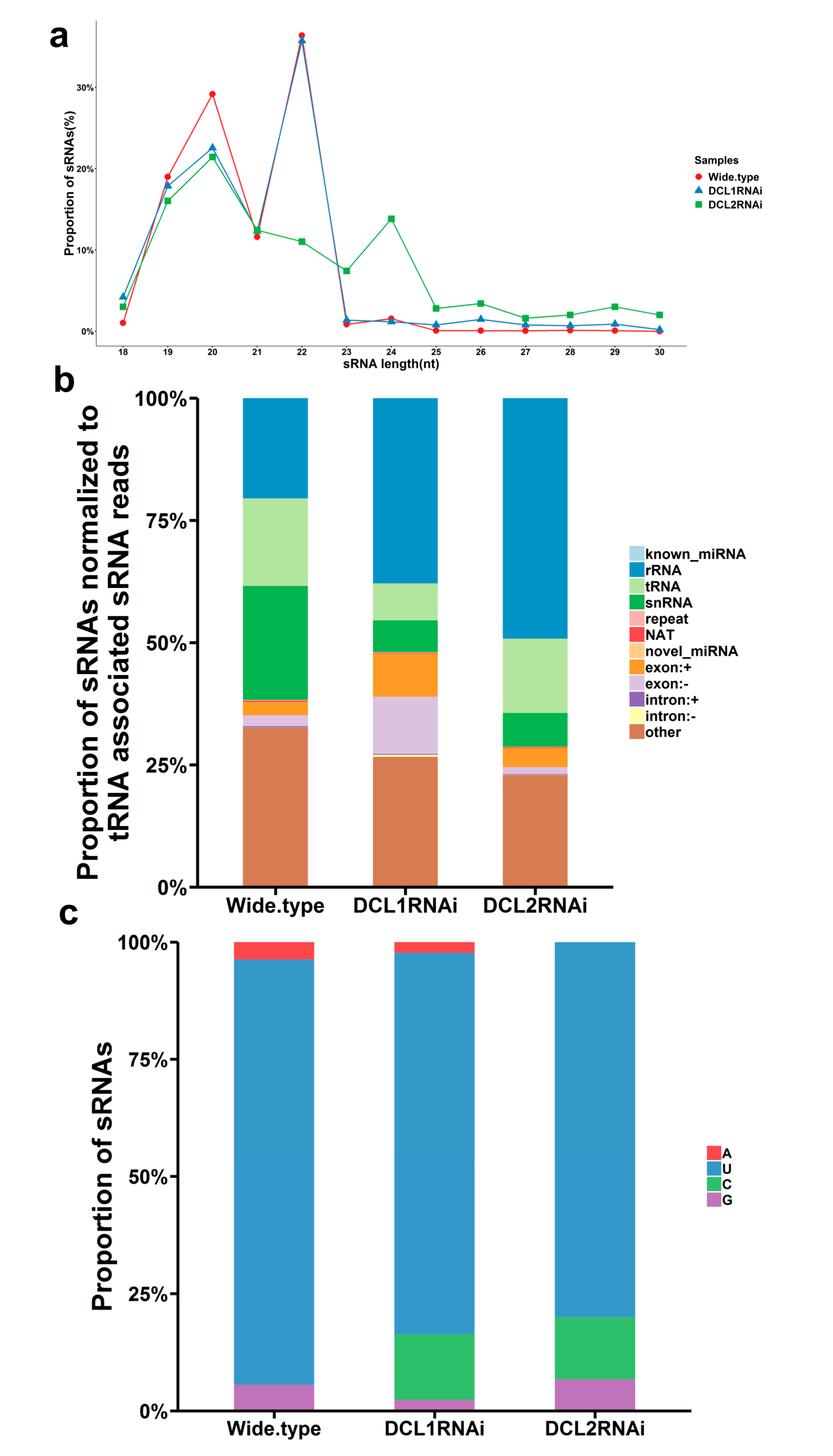 Cells 09 00363 g005 Cells 09 00363 g005