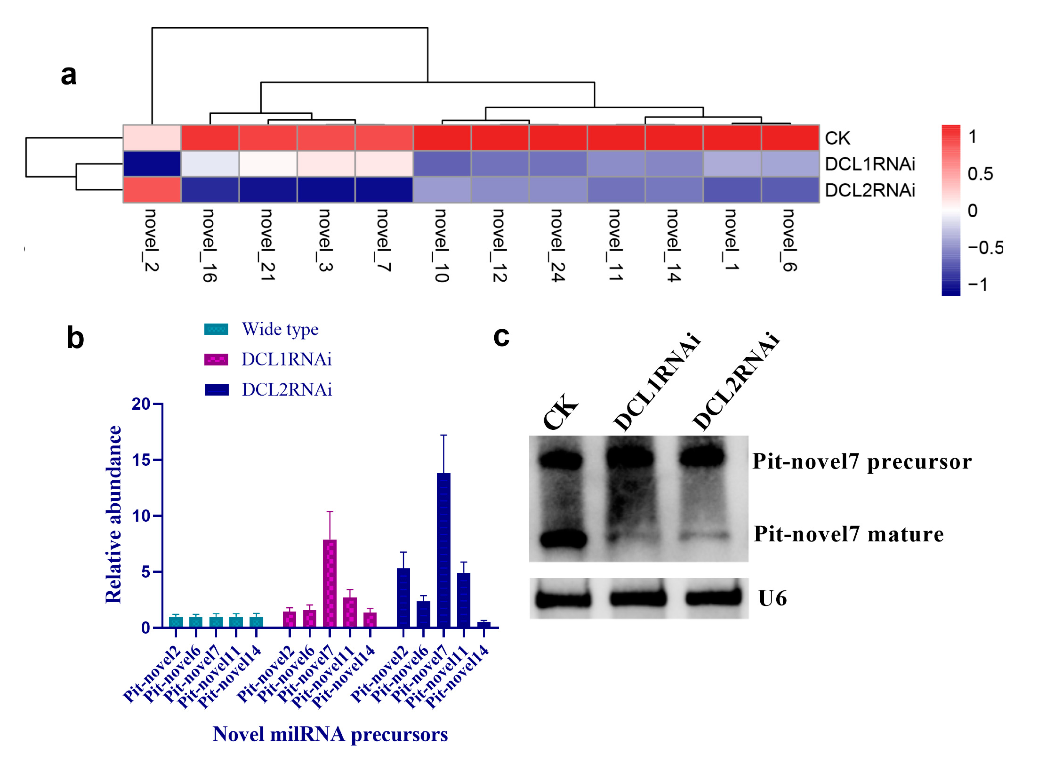 Cells 09 00363 g006 Cells 09 00363 g006