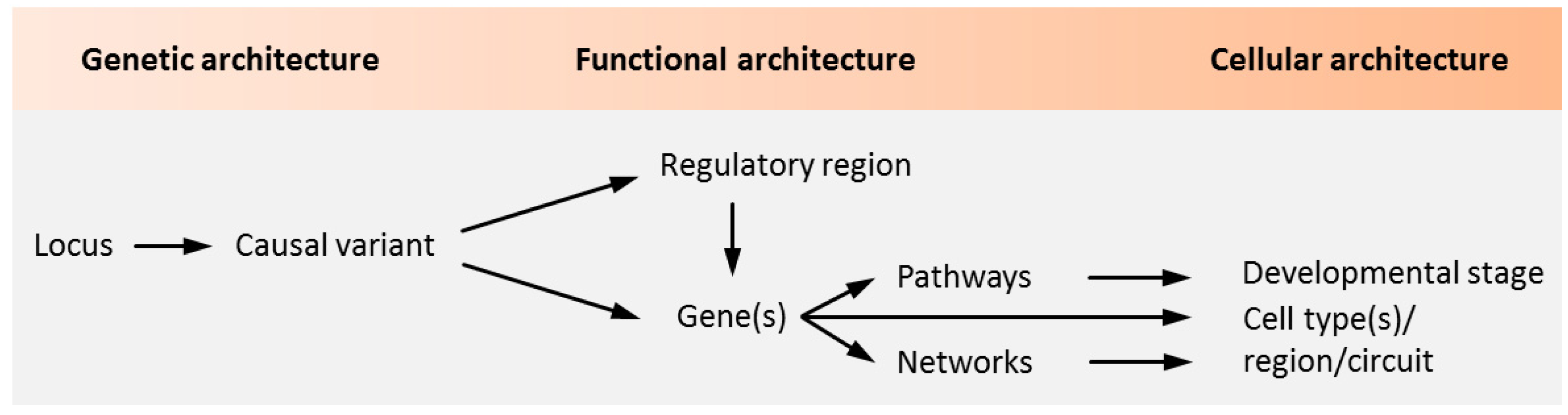 Cells 09 00366 g001 Cells 09 00366 g001