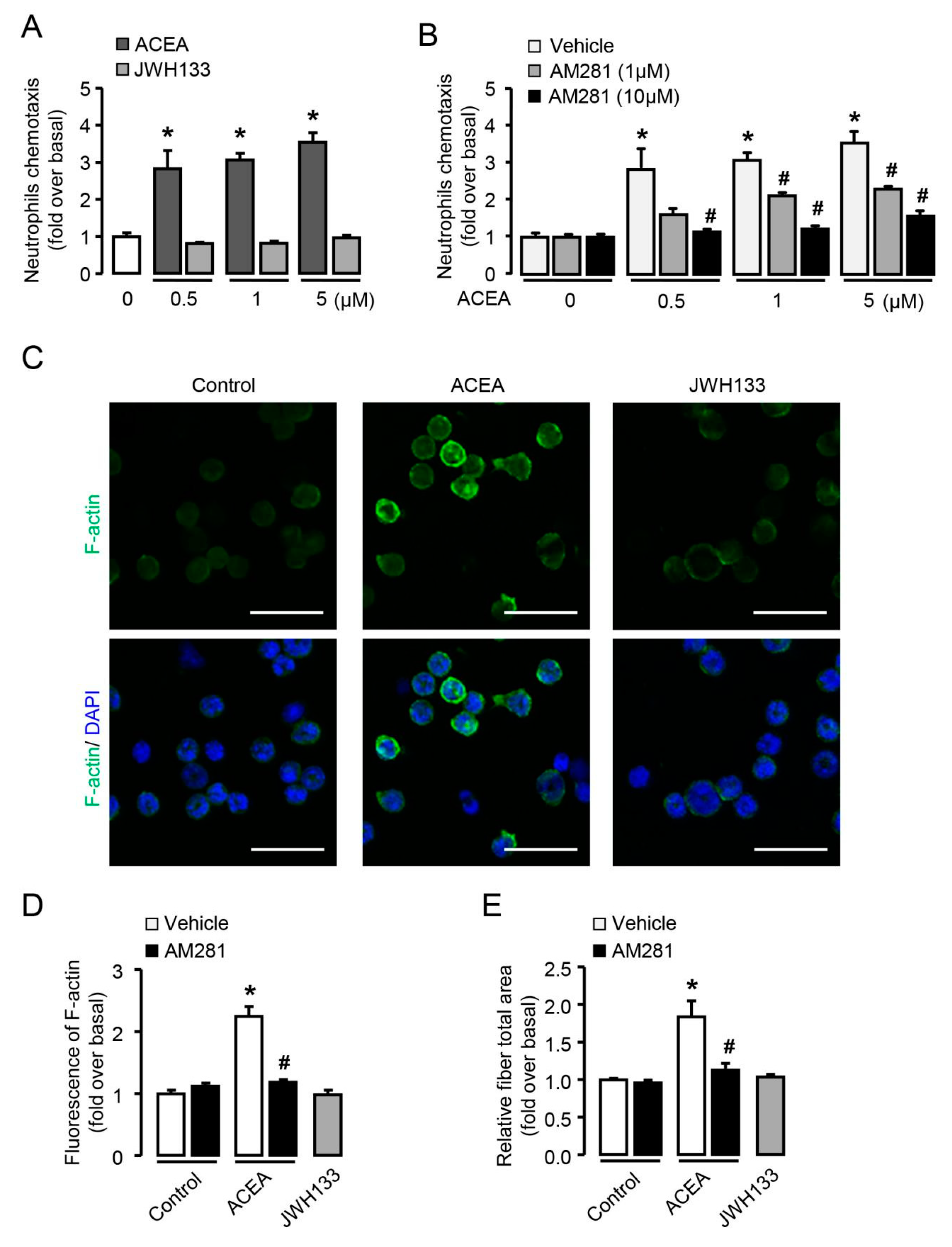 Cells 09 00373 g003 Cells 09 00373 g003