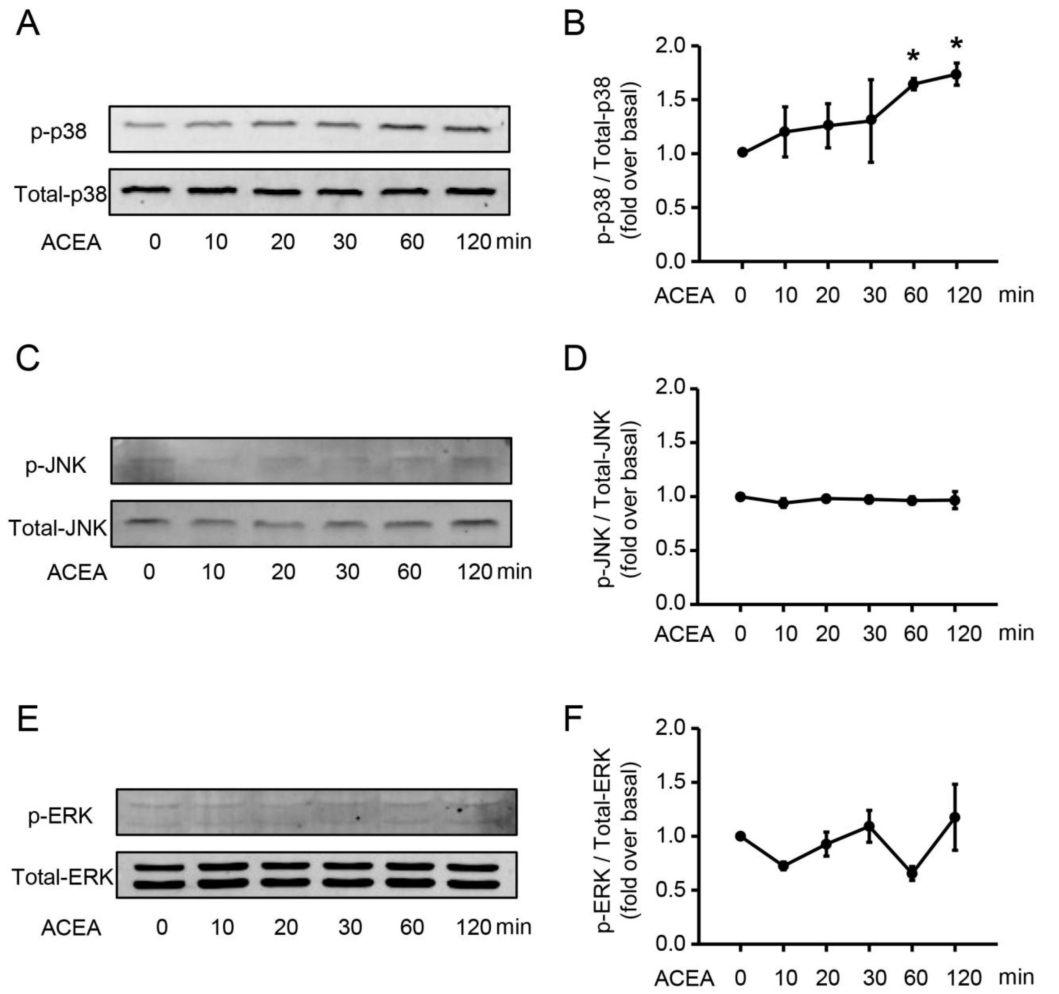 Cells 09 00373 g009 Cells 09 00373 g009