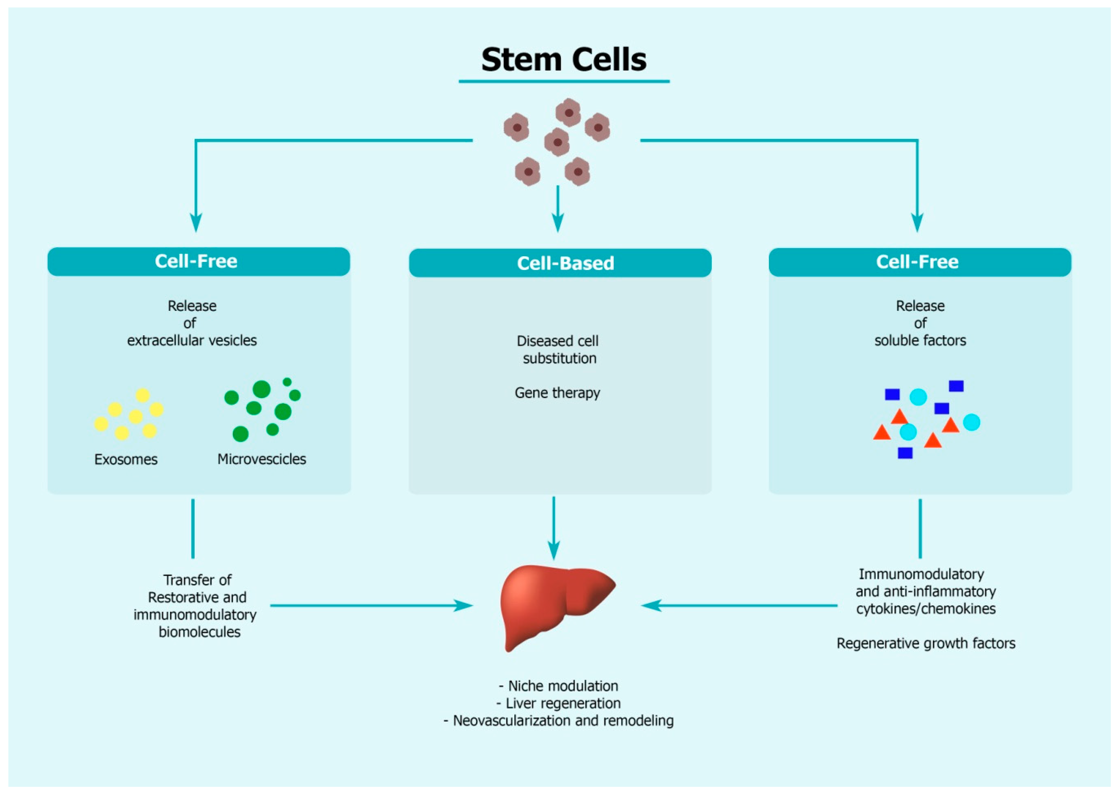 Cells 09 00386 g002 Cells 09 00386 g002