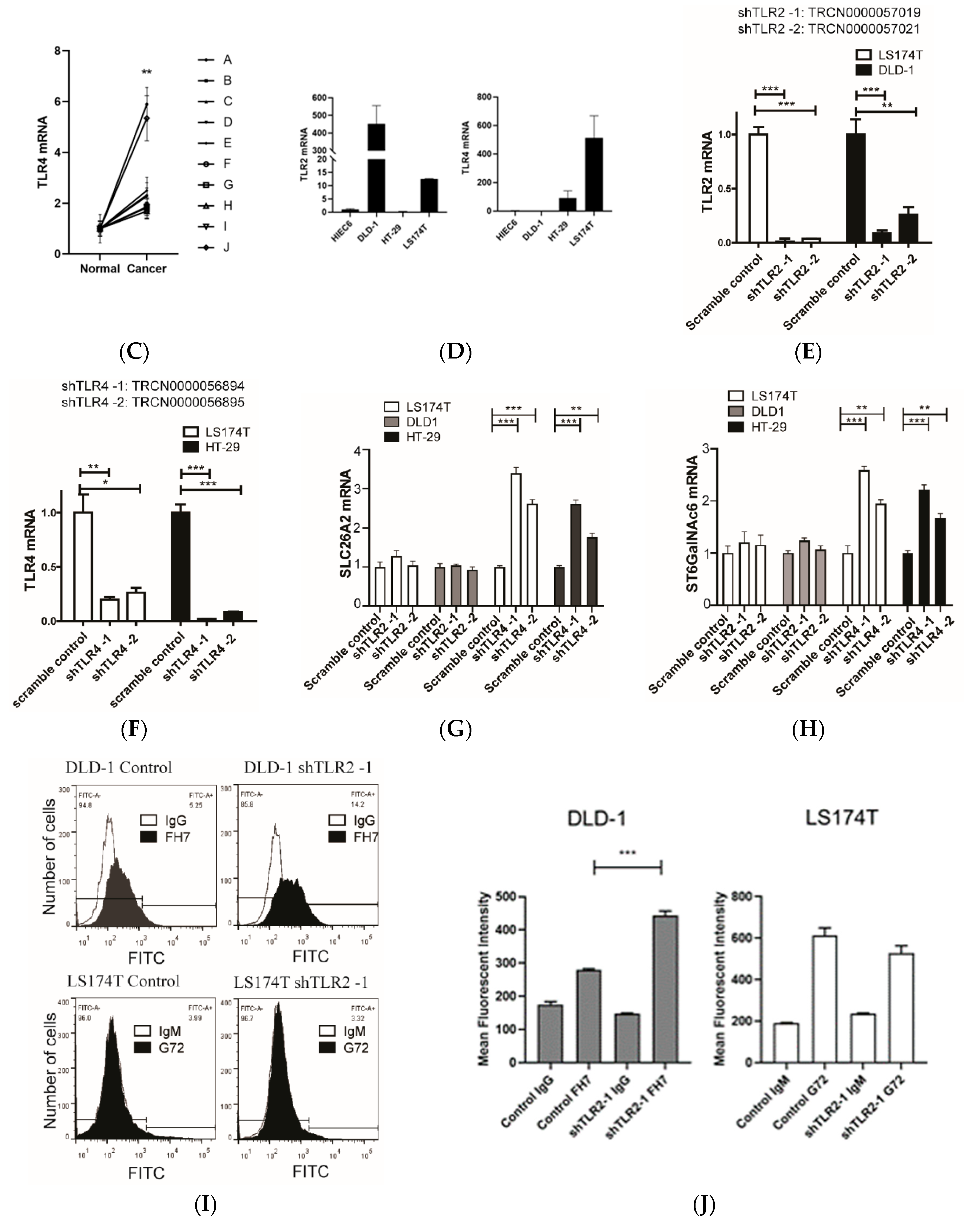 Cells 09 00397 g001b Cells 09 00397 g001b