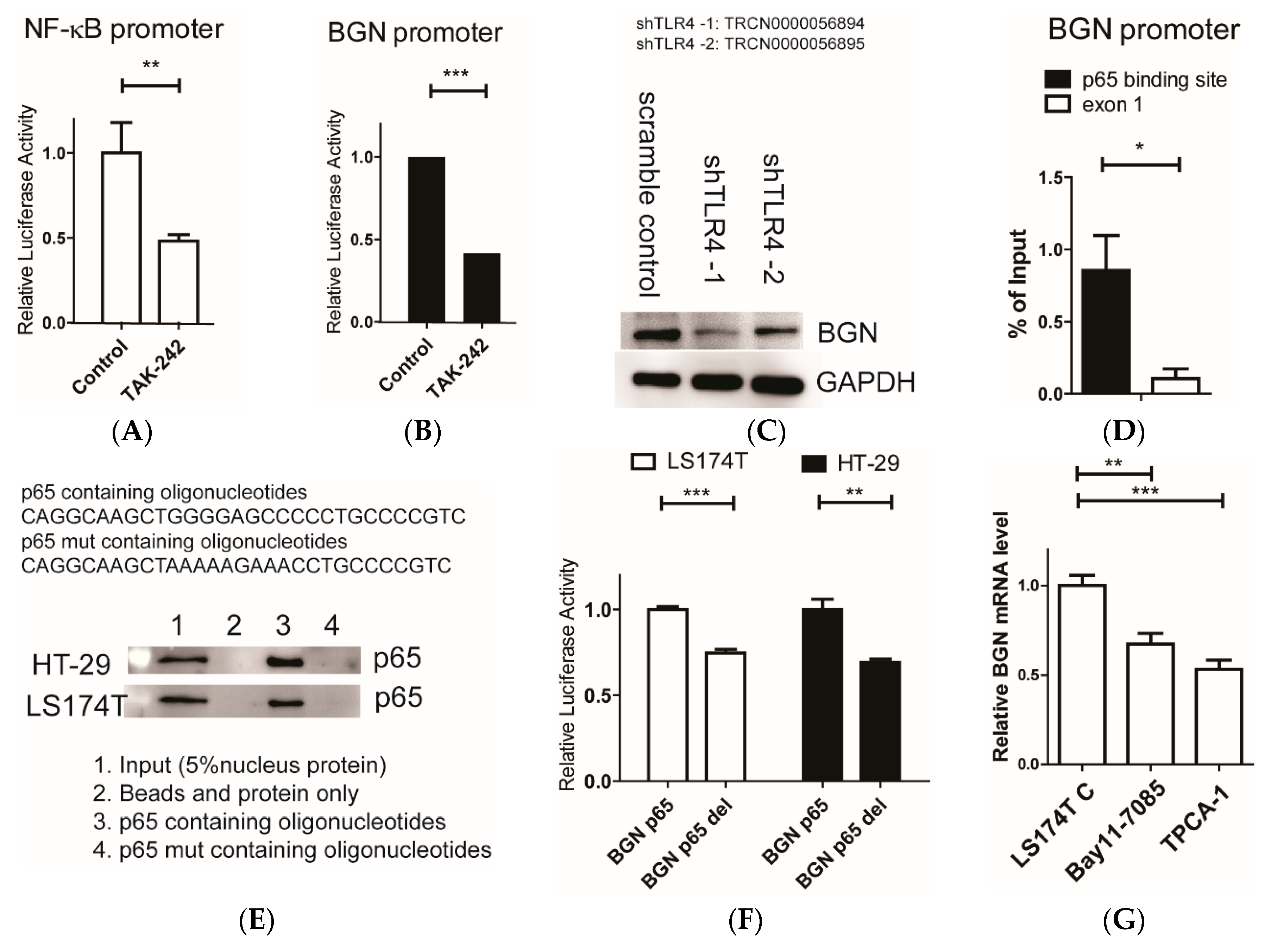 Cells 09 00397 g004a Cells 09 00397 g004a