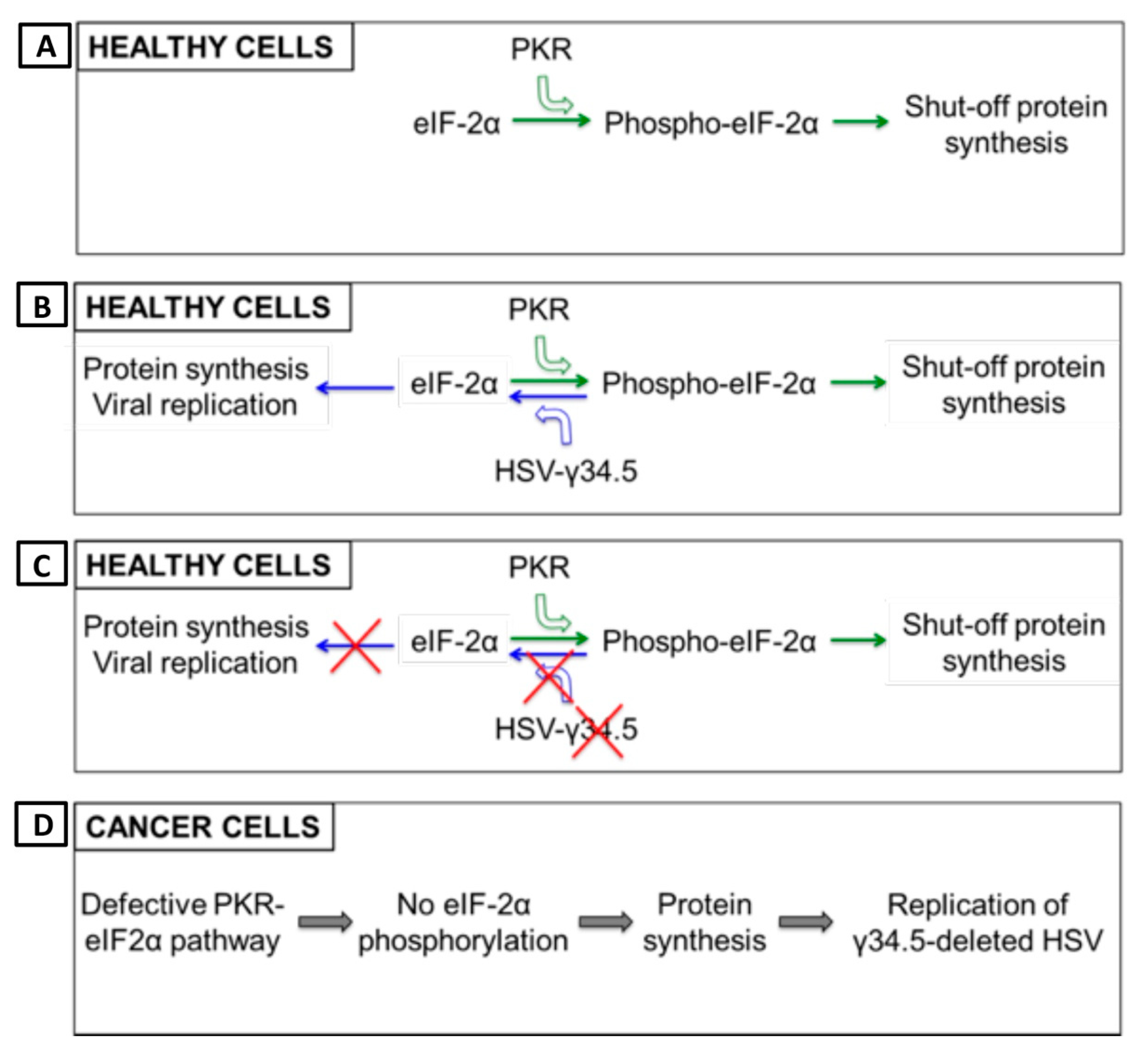 Cells 09 00400 g004