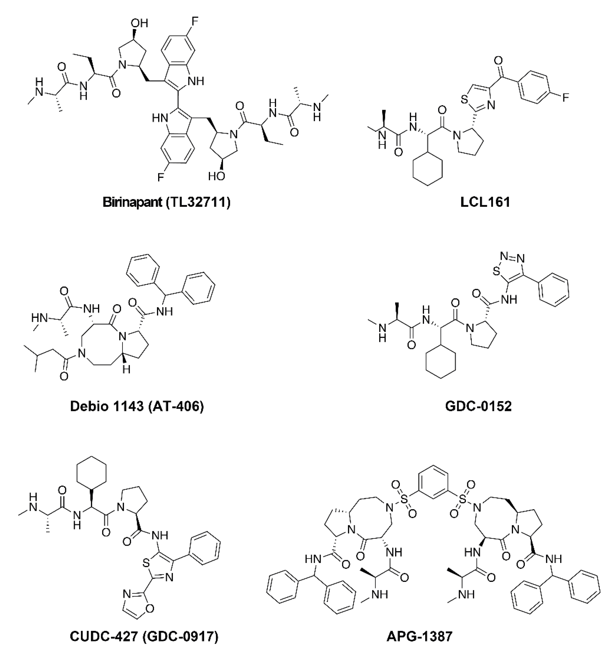Cells 09 00406 g003 Cells 09 00406 g003