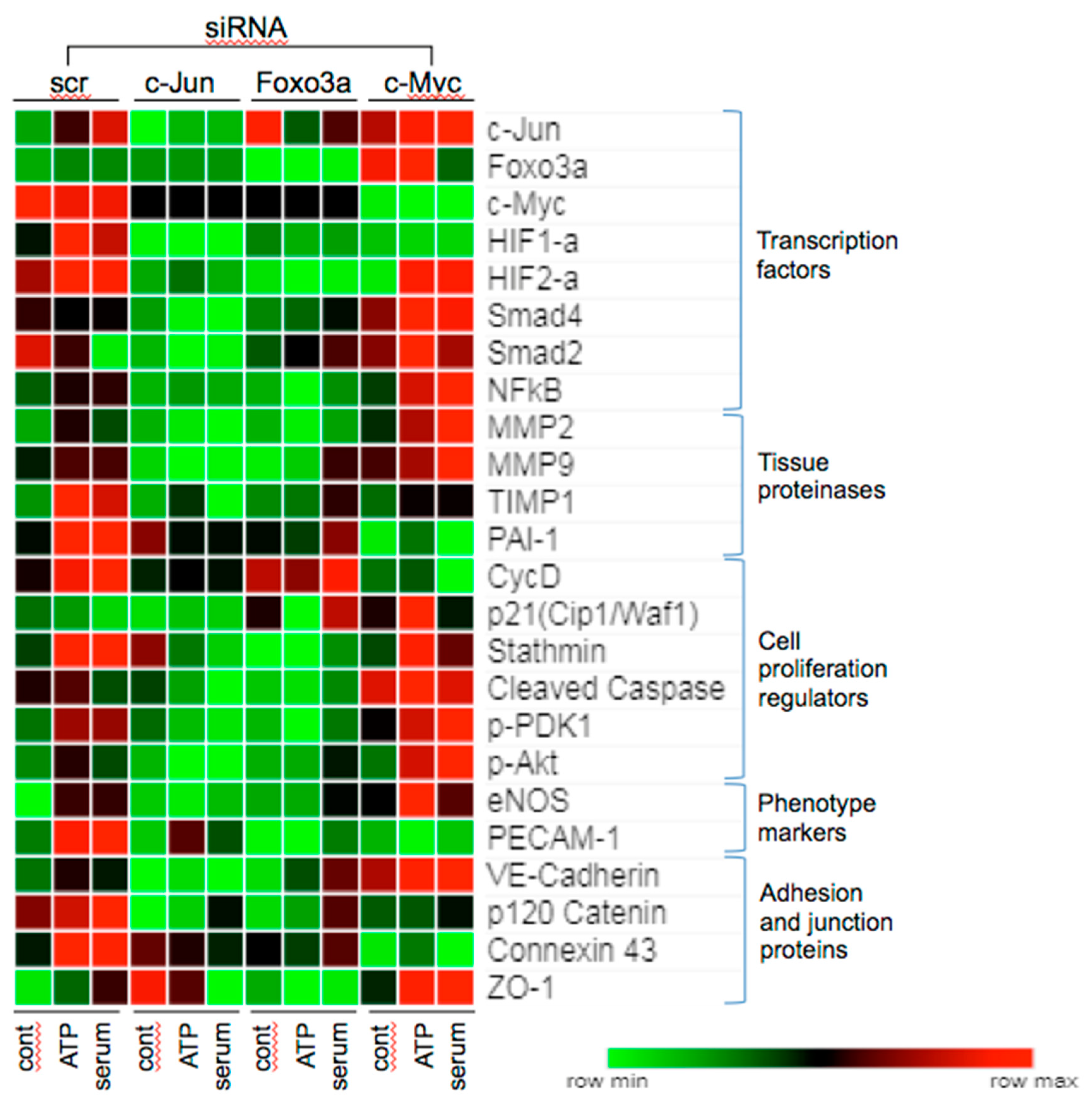 Cells 09 00416 g006