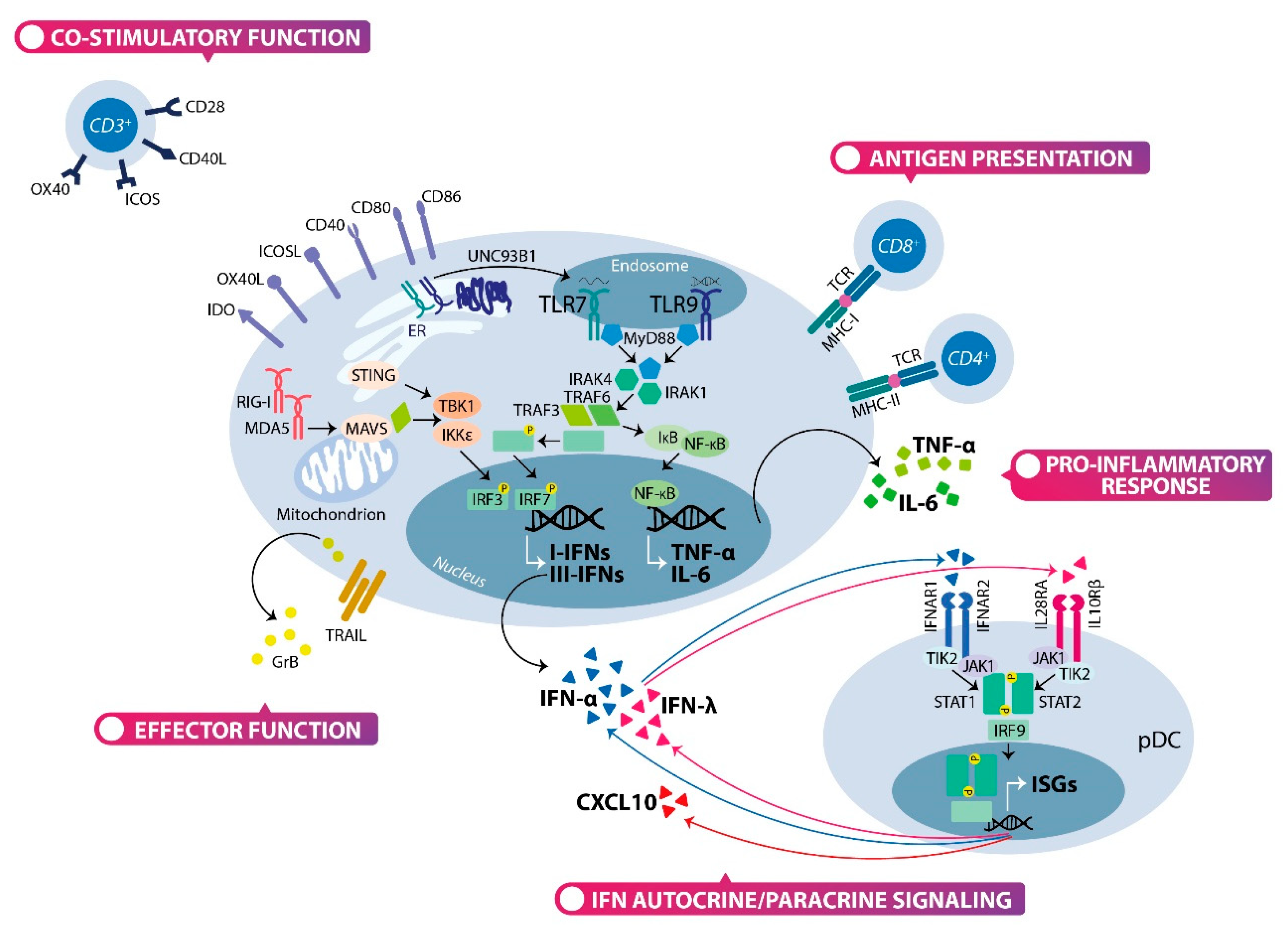 Cells 09 00417 g002 Cells 09 00417 g002