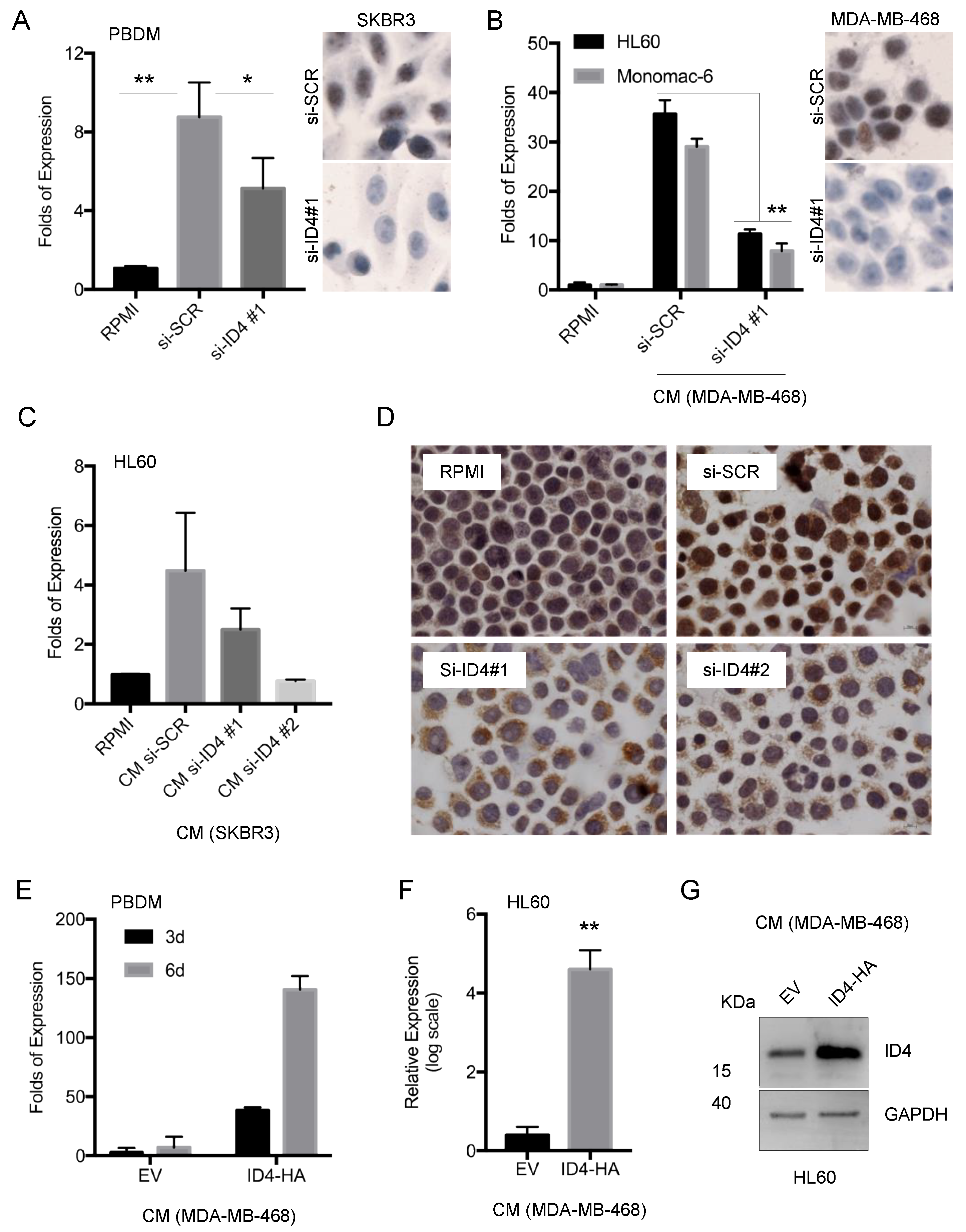 Cells 09 00418 g002