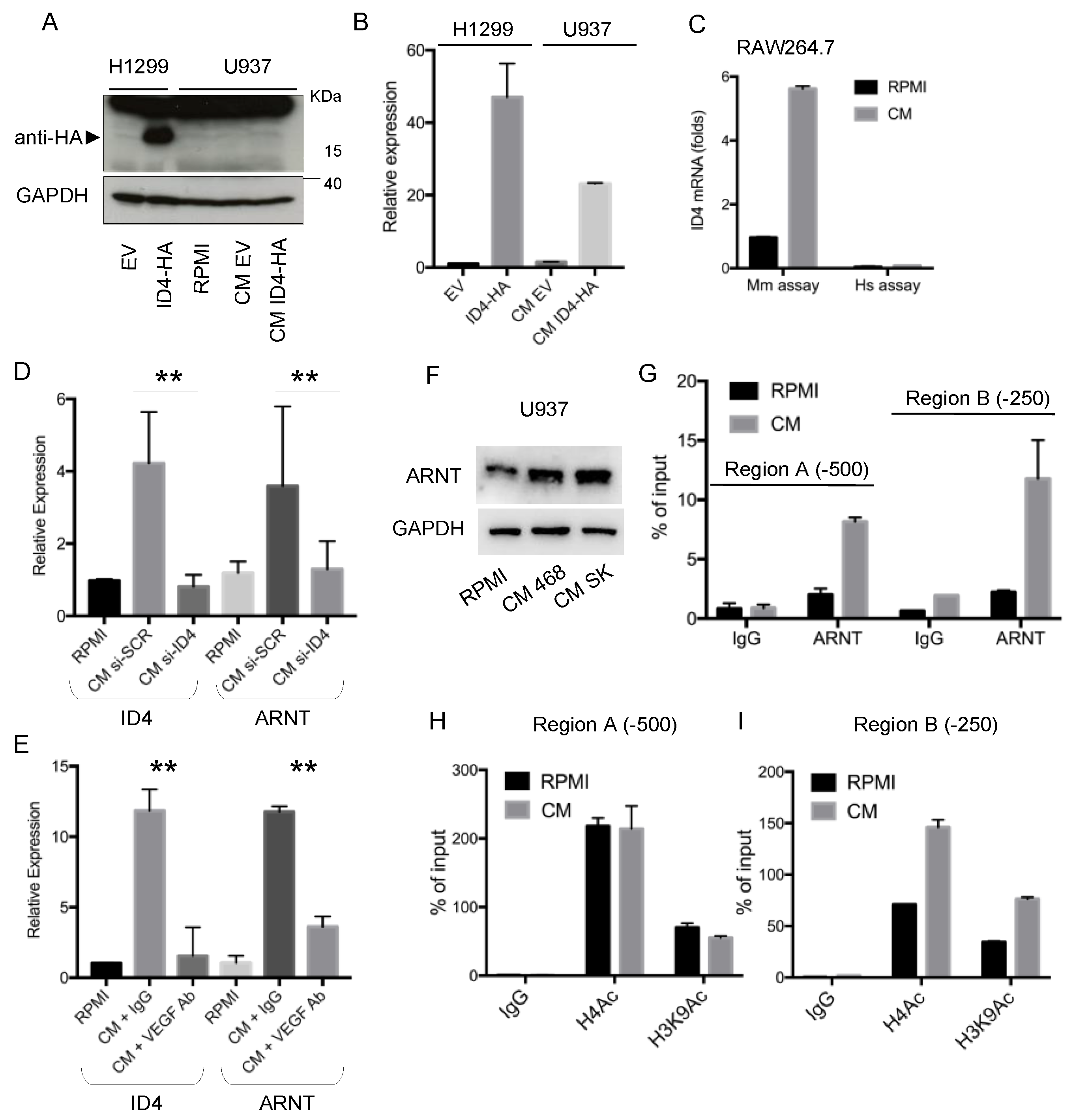 Cells 09 00418 g003