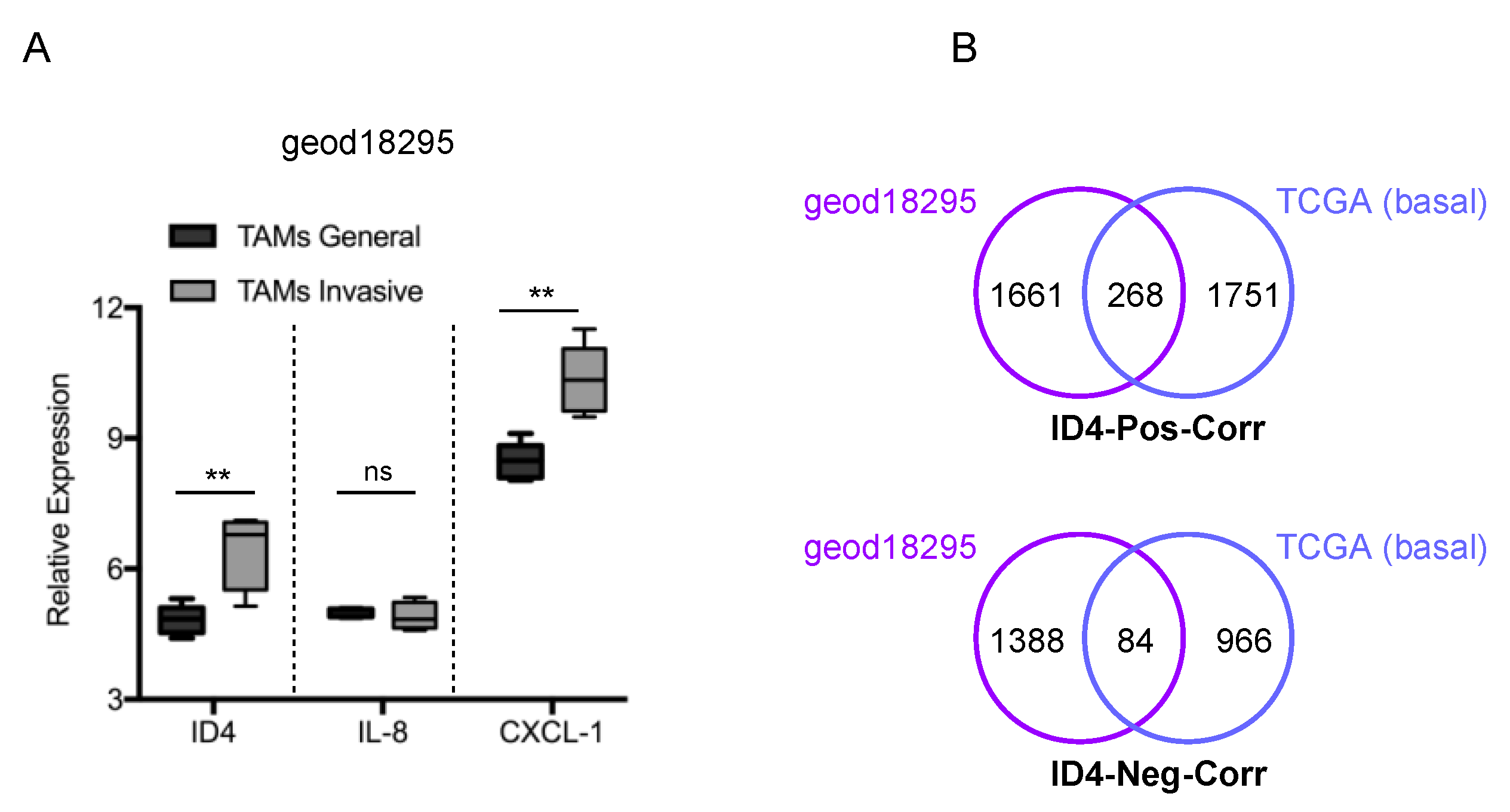 Cells 09 00418 g004