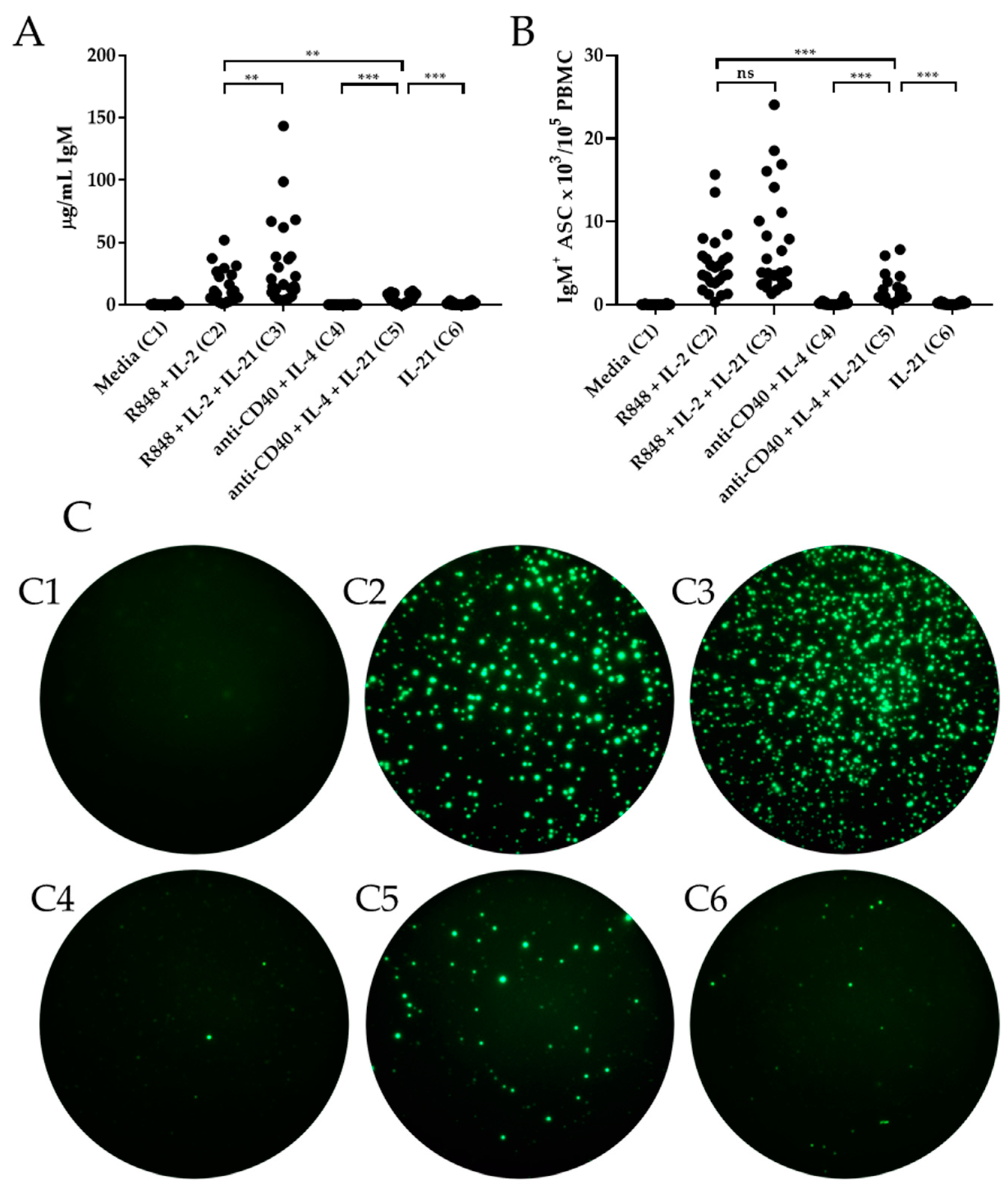 Cells 09 00433 g001 Cells 09 00433 g001