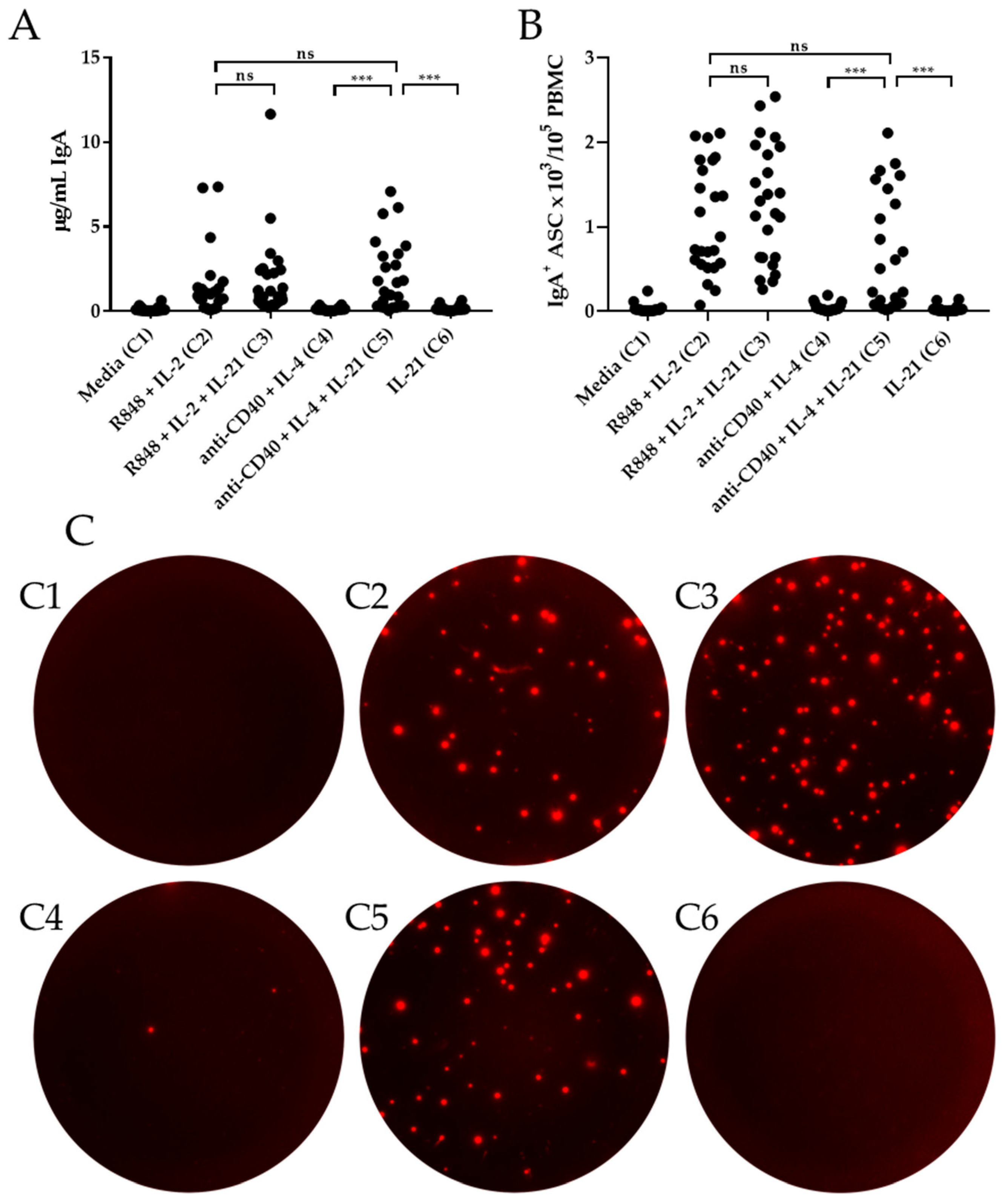 Cells 09 00433 g003 Cells 09 00433 g003
