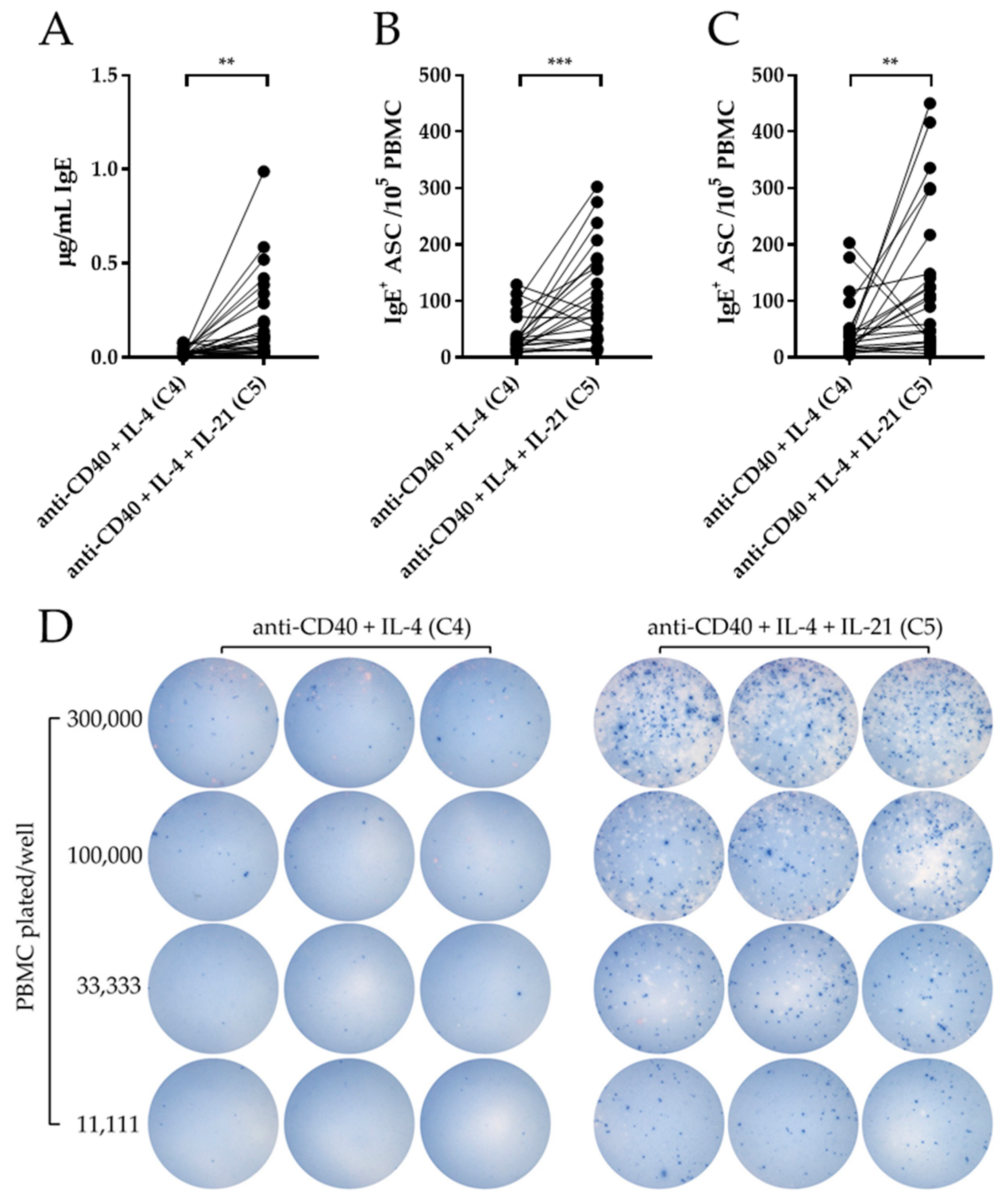 Cells 09 00433 g004 Cells 09 00433 g004