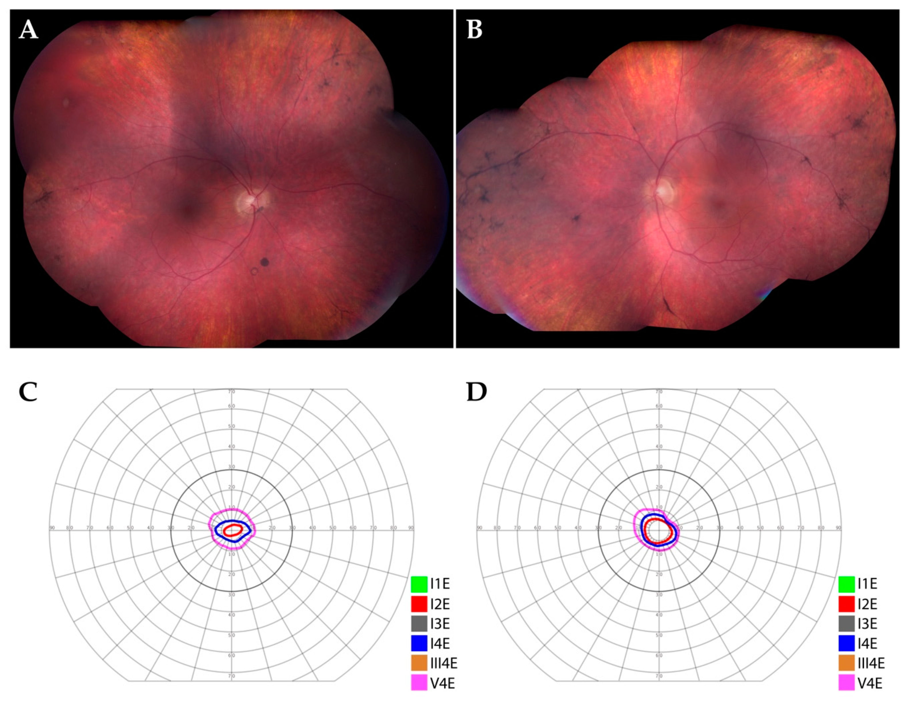 Cells 09 00438 g001 Cells 09 00438 g001