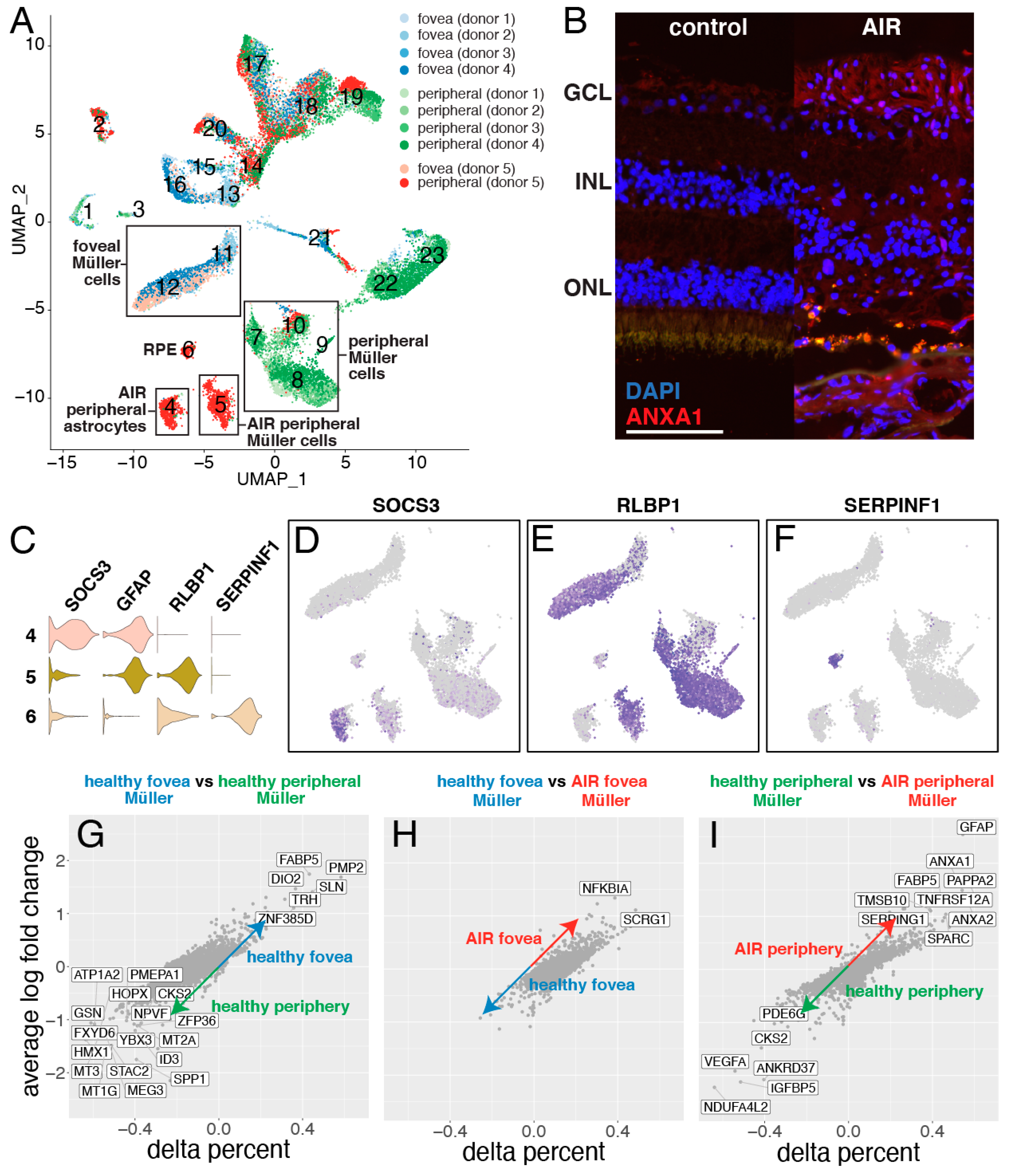 Cells 09 00438 g005 Cells 09 00438 g005