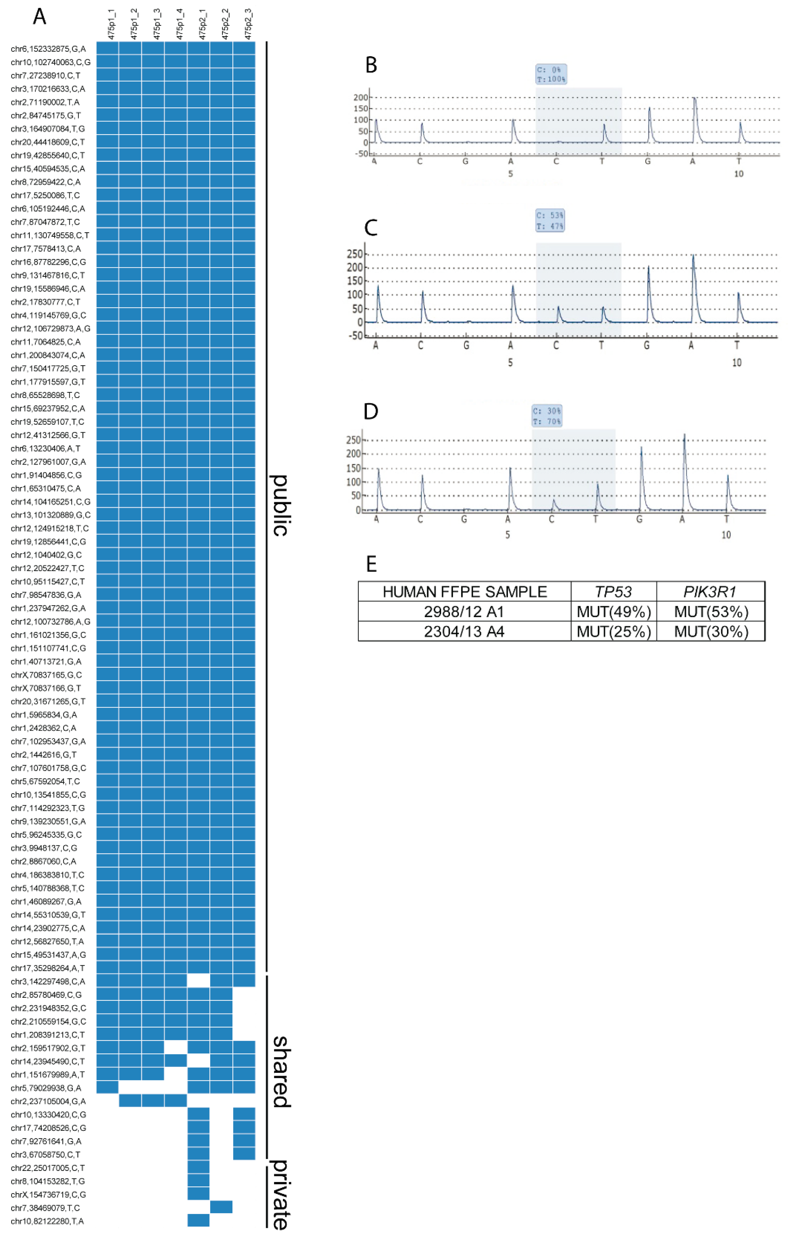 Cells 09 00442 g003 Cells 09 00442 g003