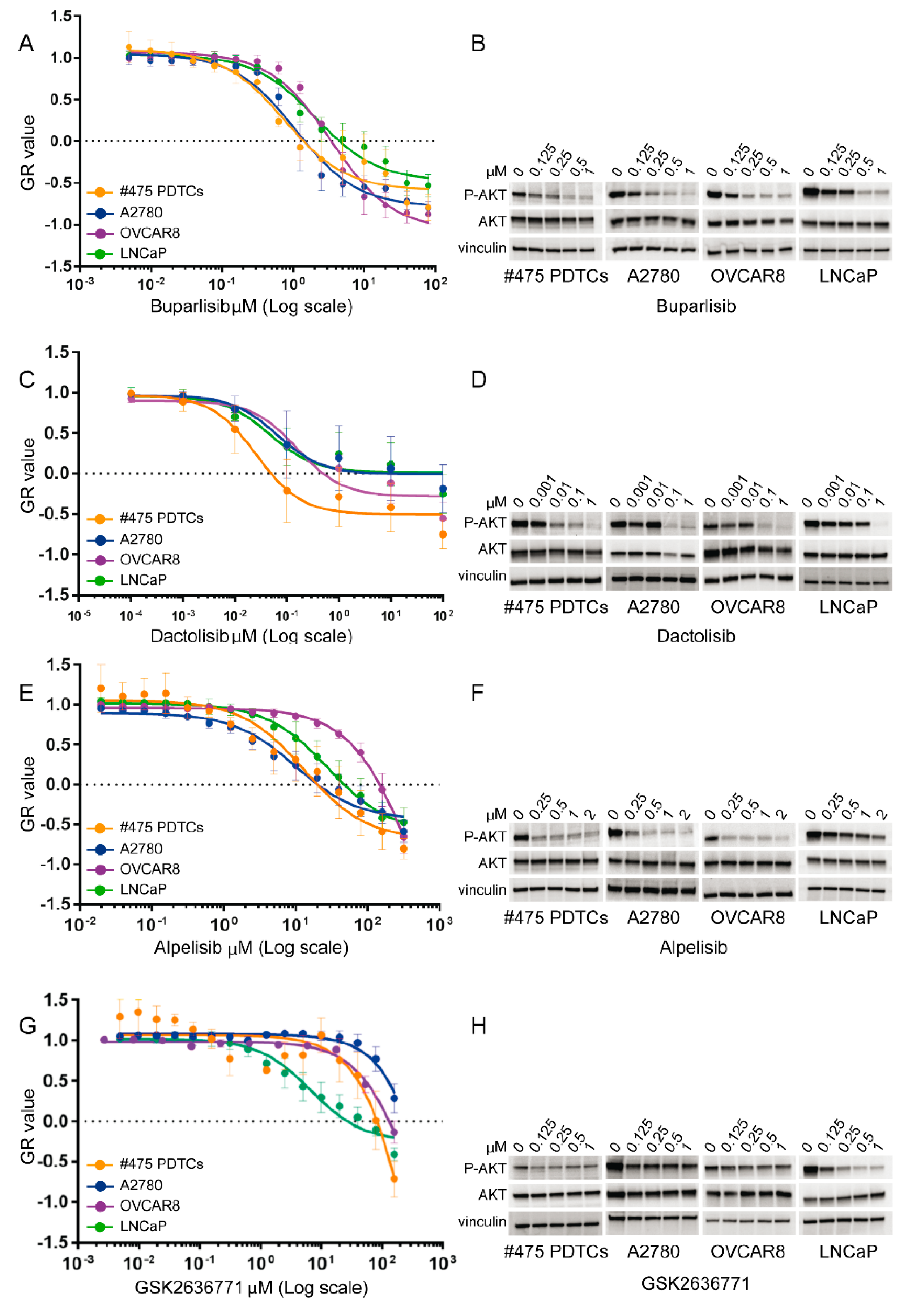 Cells 09 00442 g005 Cells 09 00442 g005