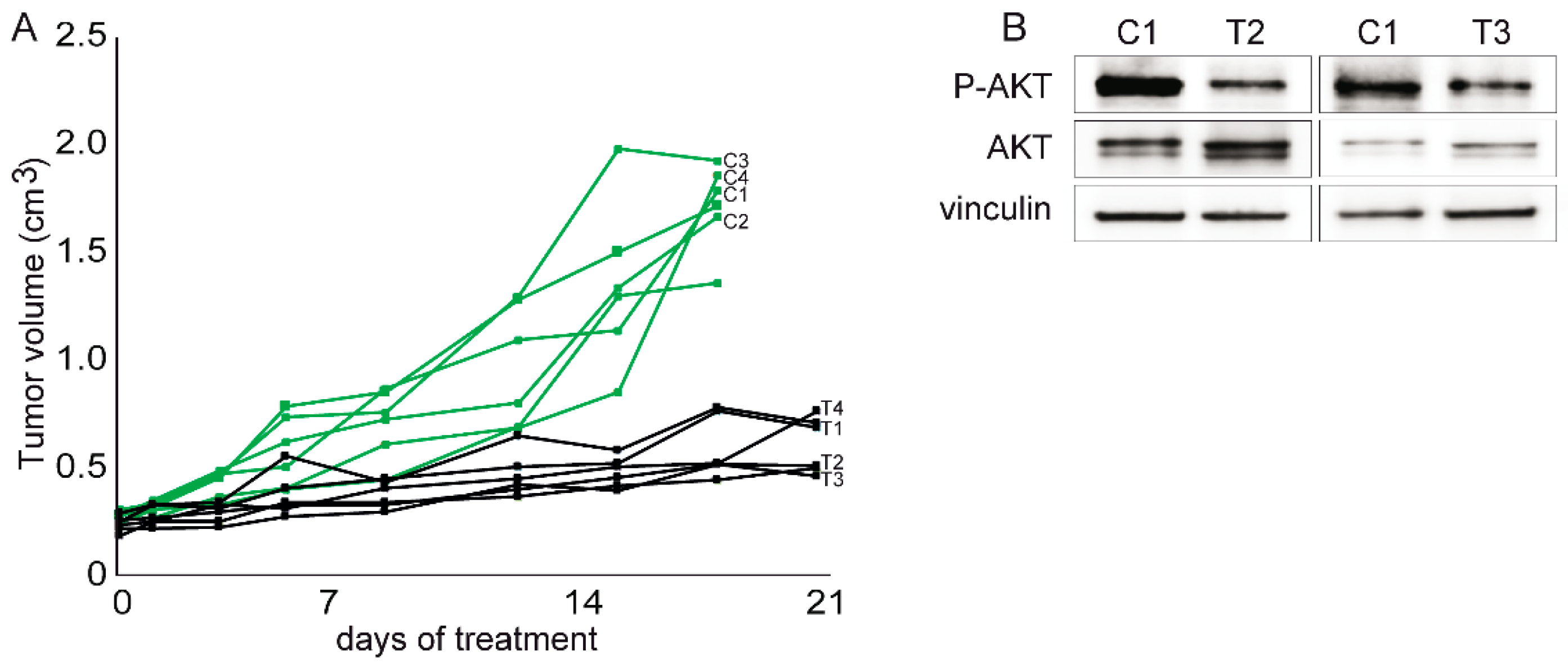 Cells 09 00442 g006 Cells 09 00442 g006