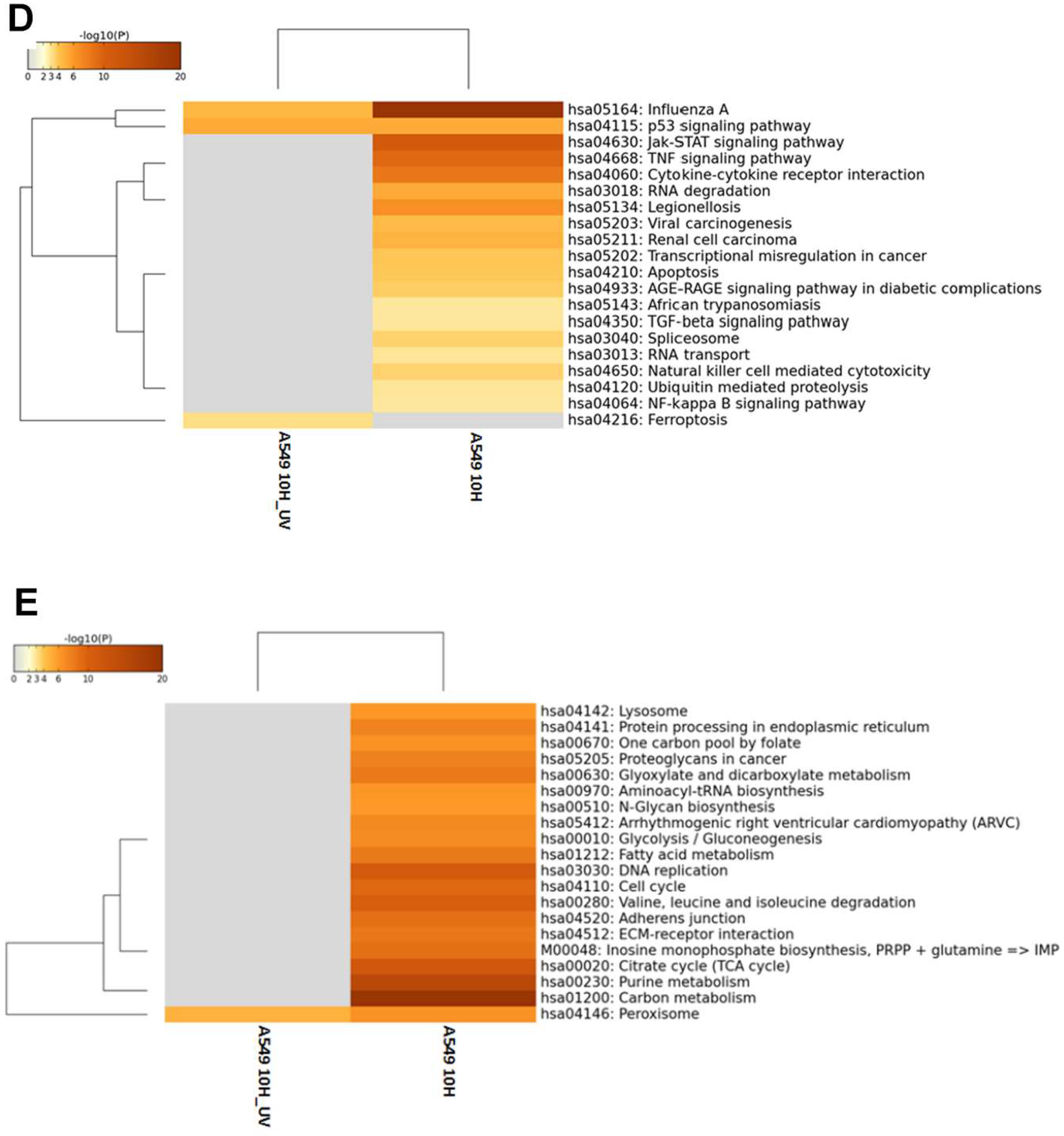 Cells 09 00448 g002b