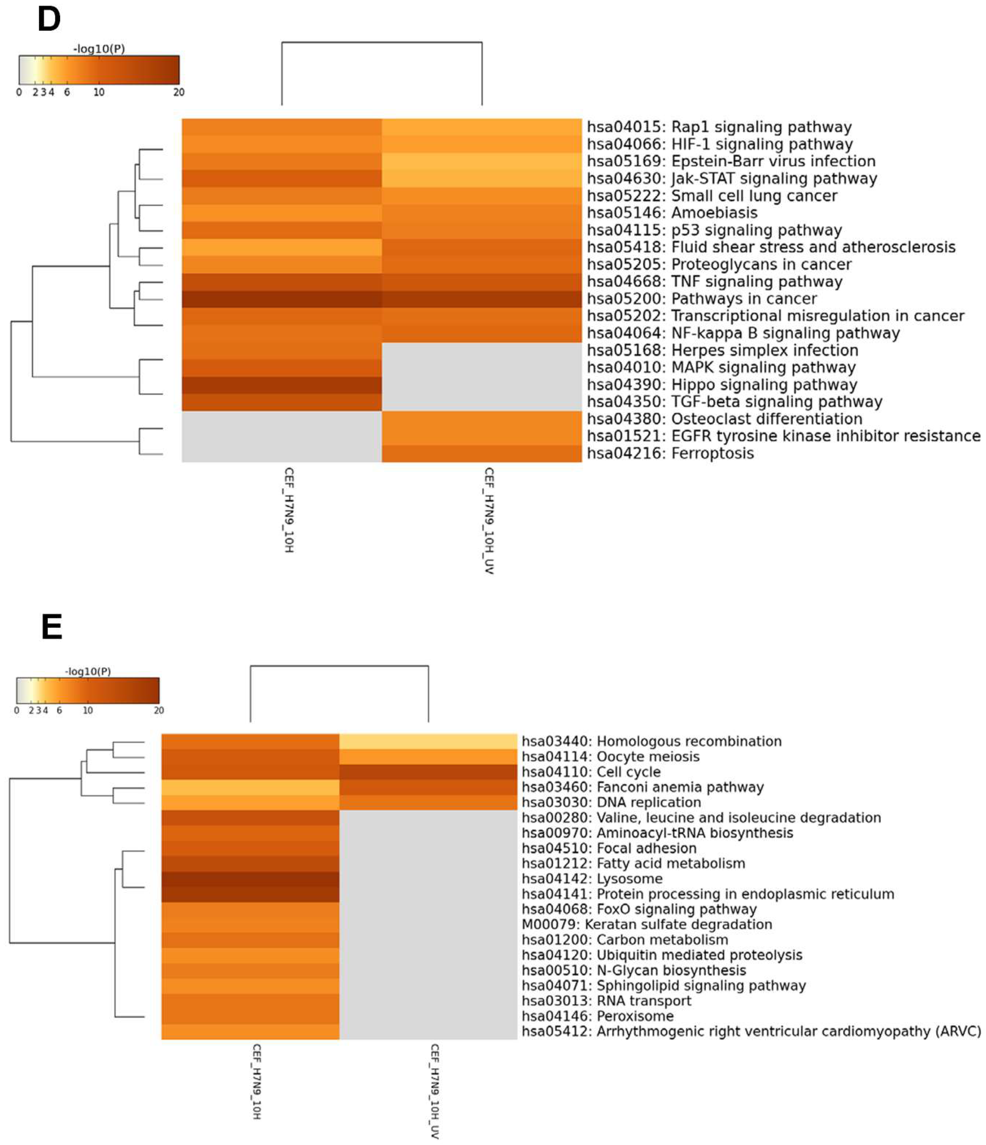 Cells 09 00448 g003b