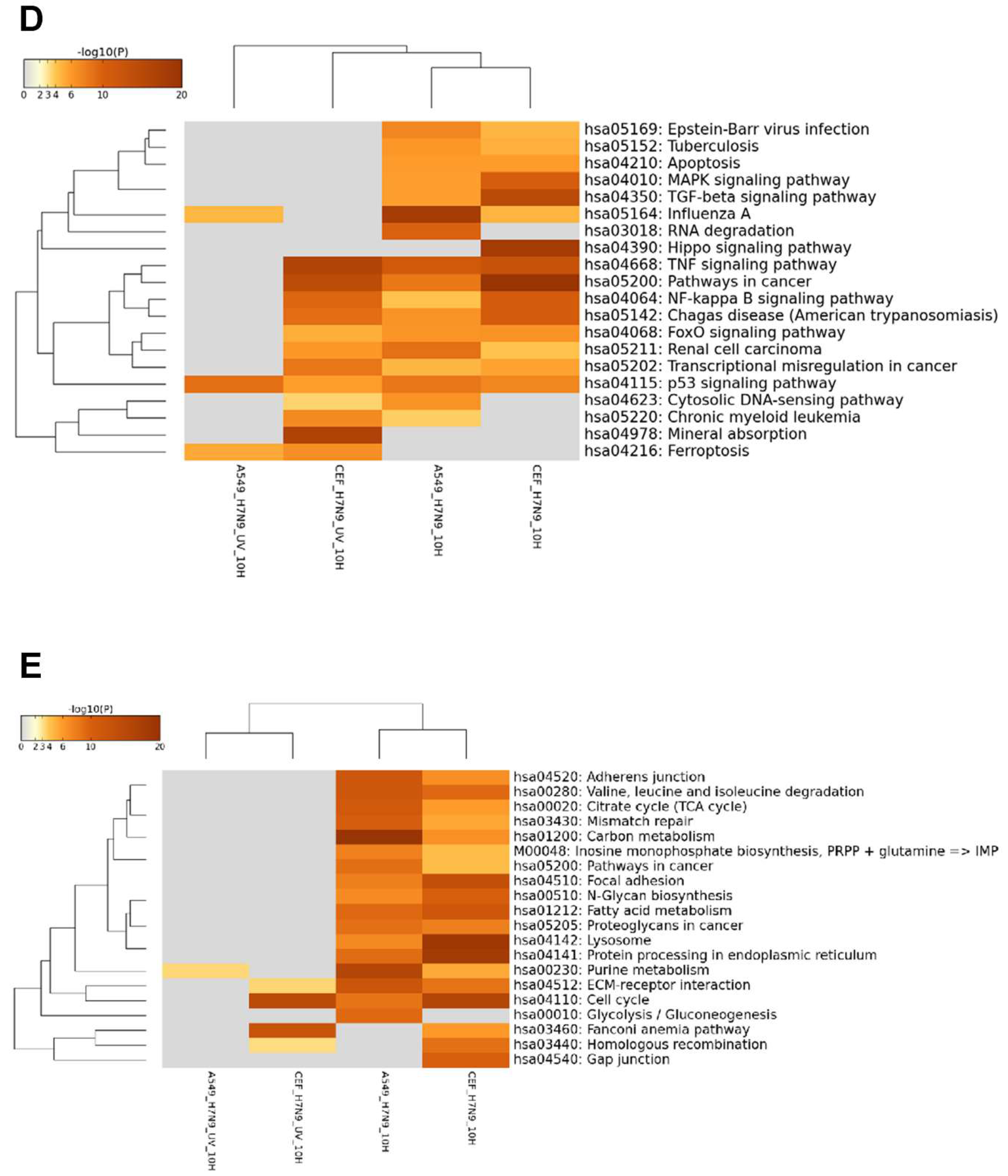 Cells 09 00448 g004b