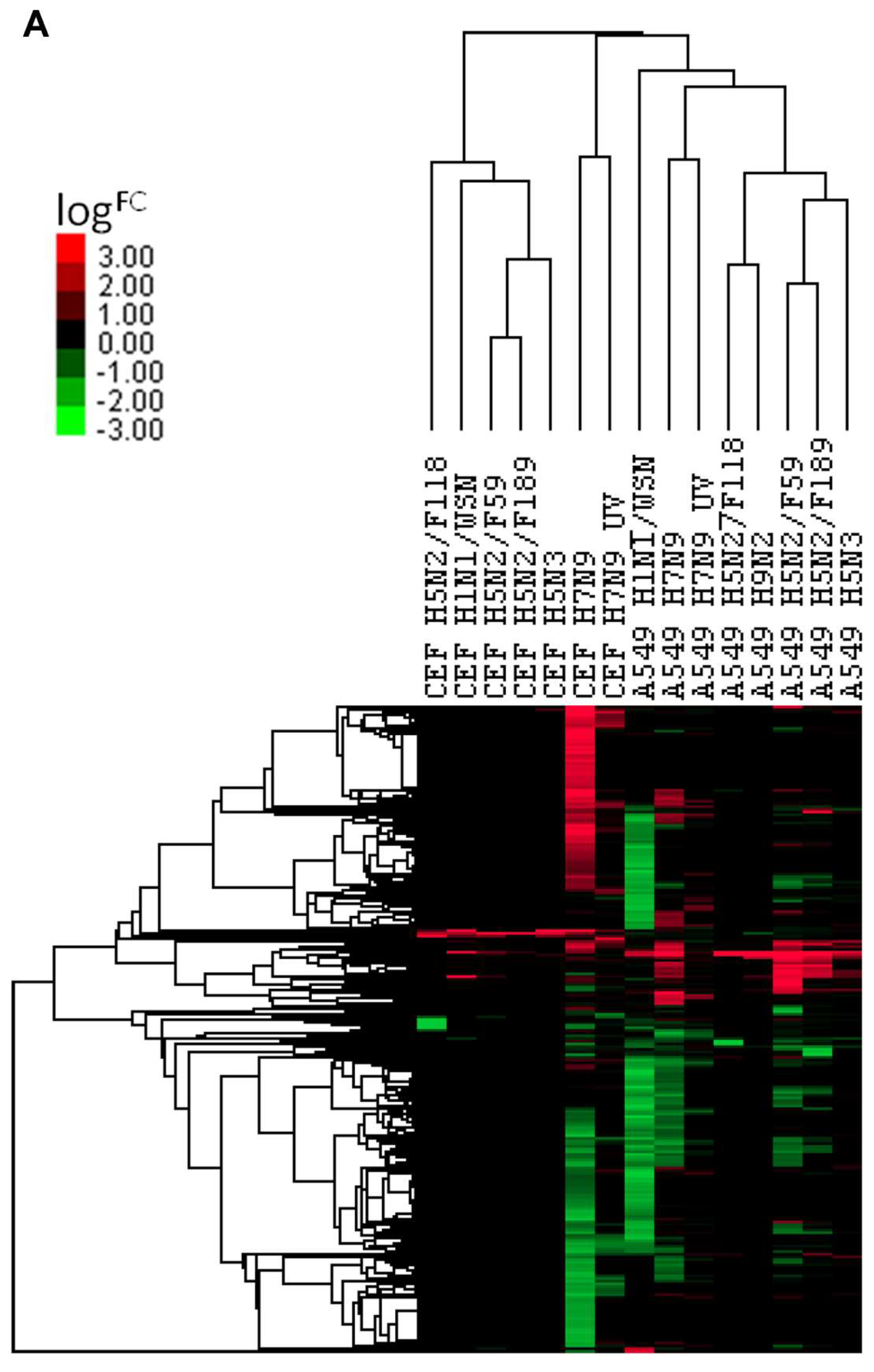 Cells 09 00448 g006a