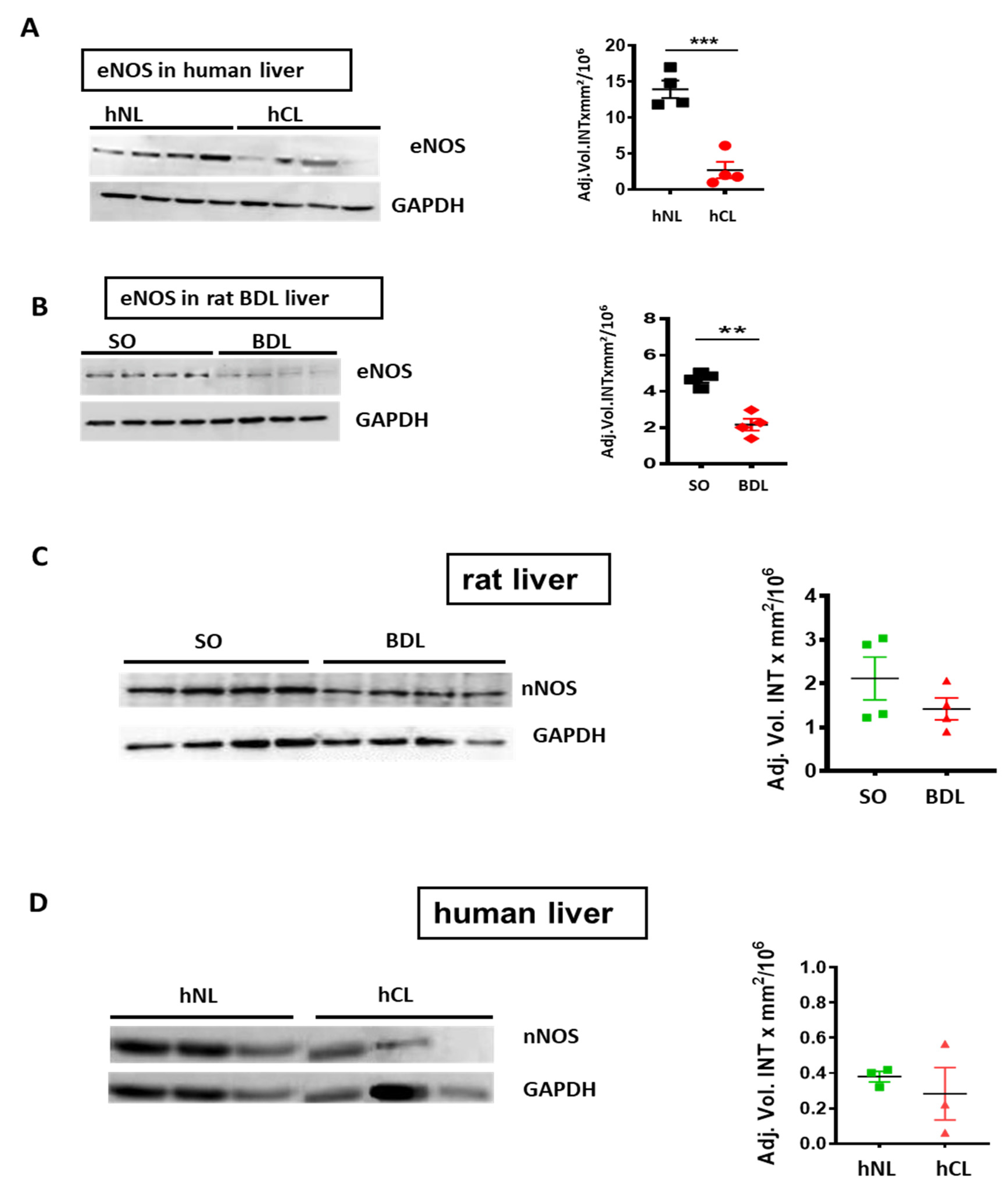 Cells 09 00452 g003 Cells 09 00452 g003