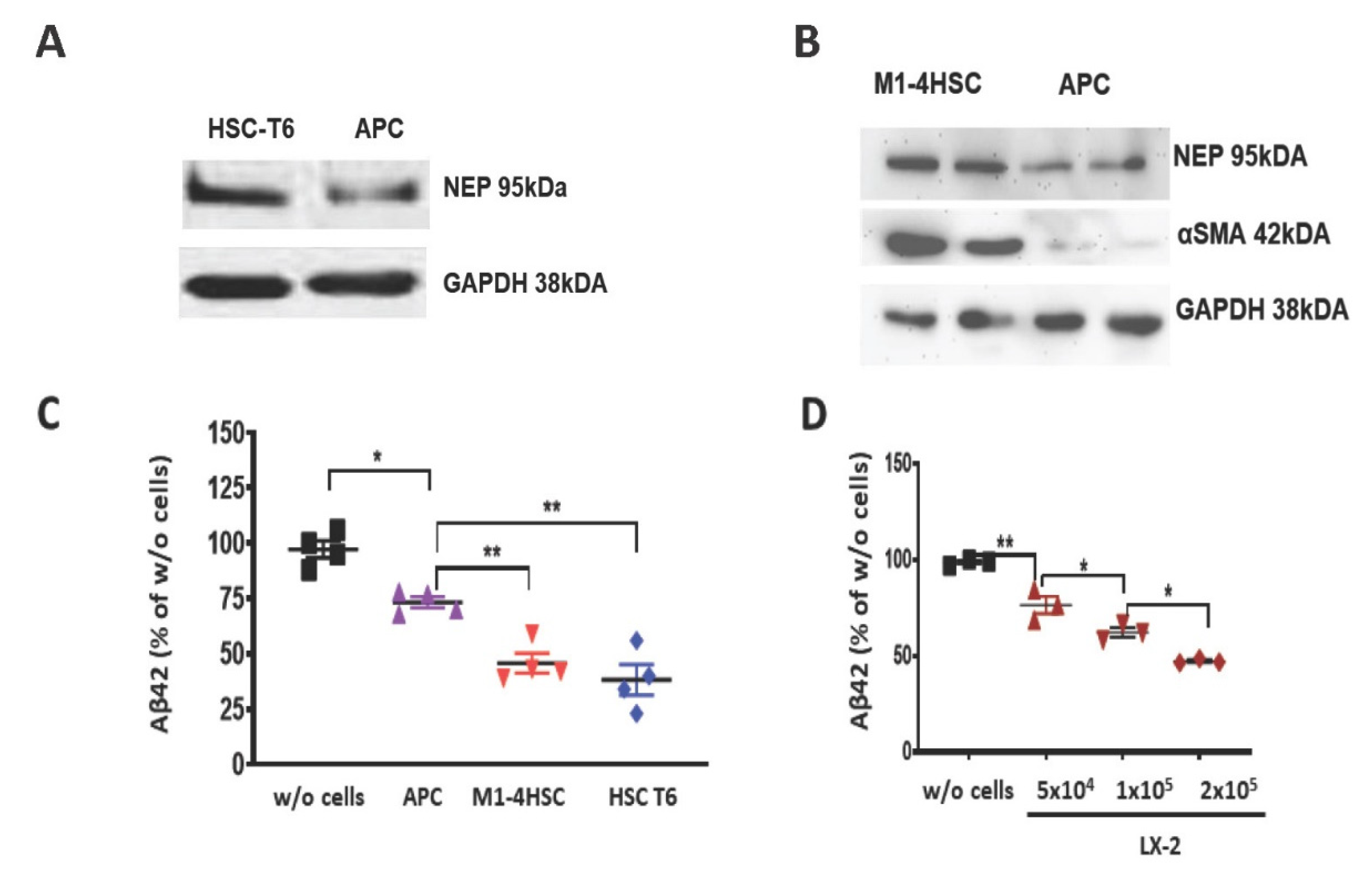 Cells 09 00452 g005 Cells 09 00452 g005