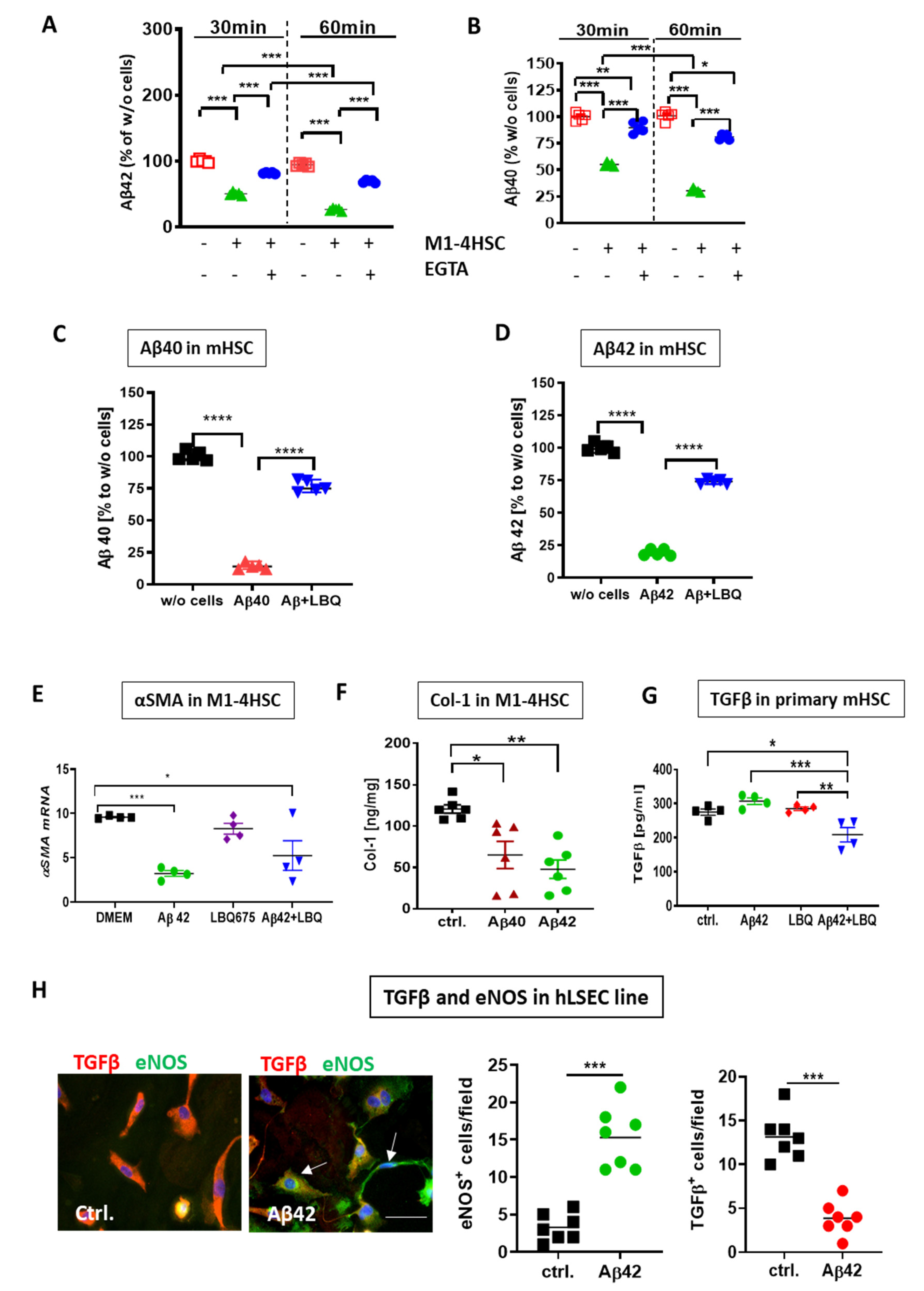 Cells 09 00452 g006 Cells 09 00452 g006